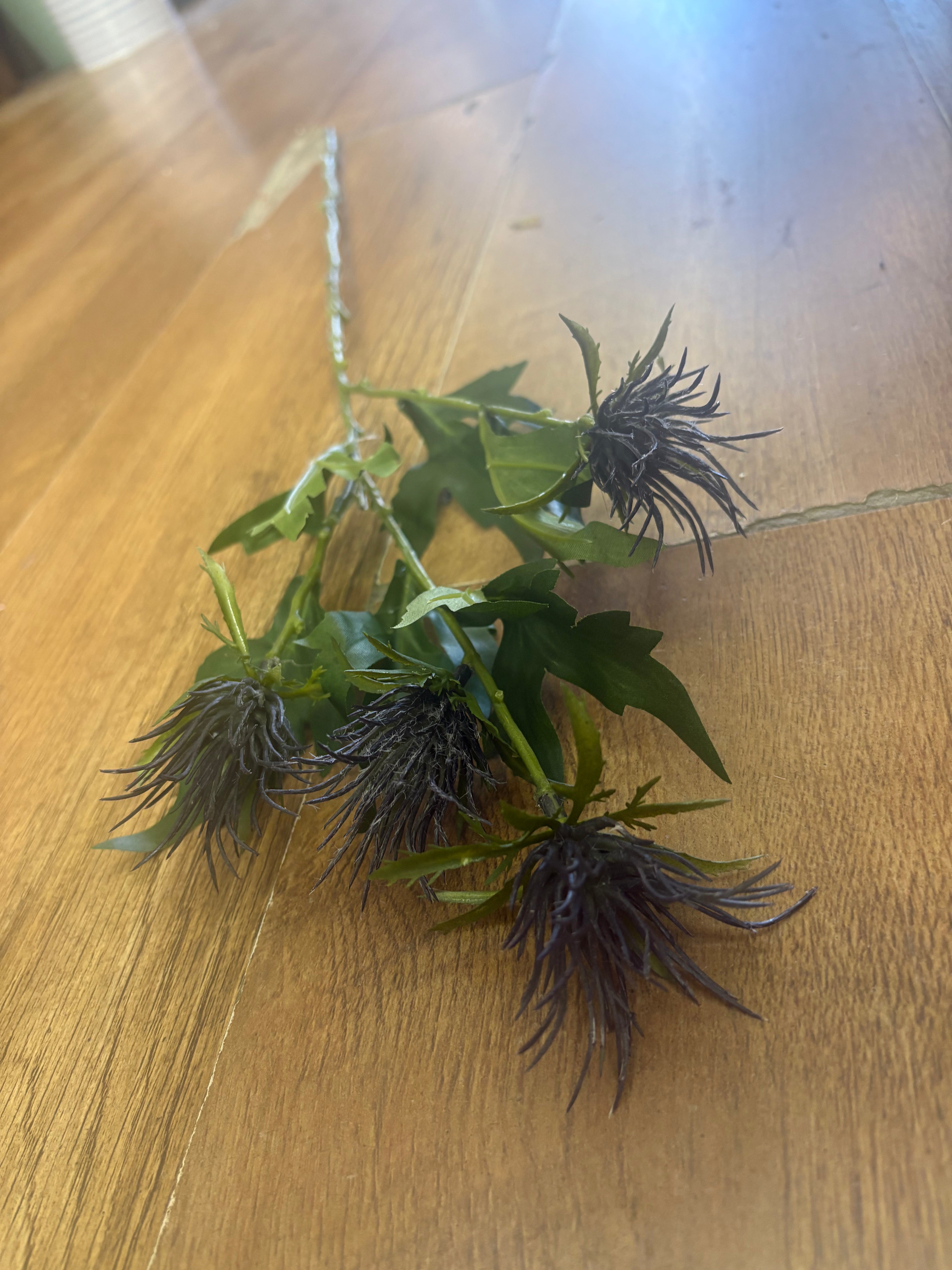 Long stem blue jagged thistle spray