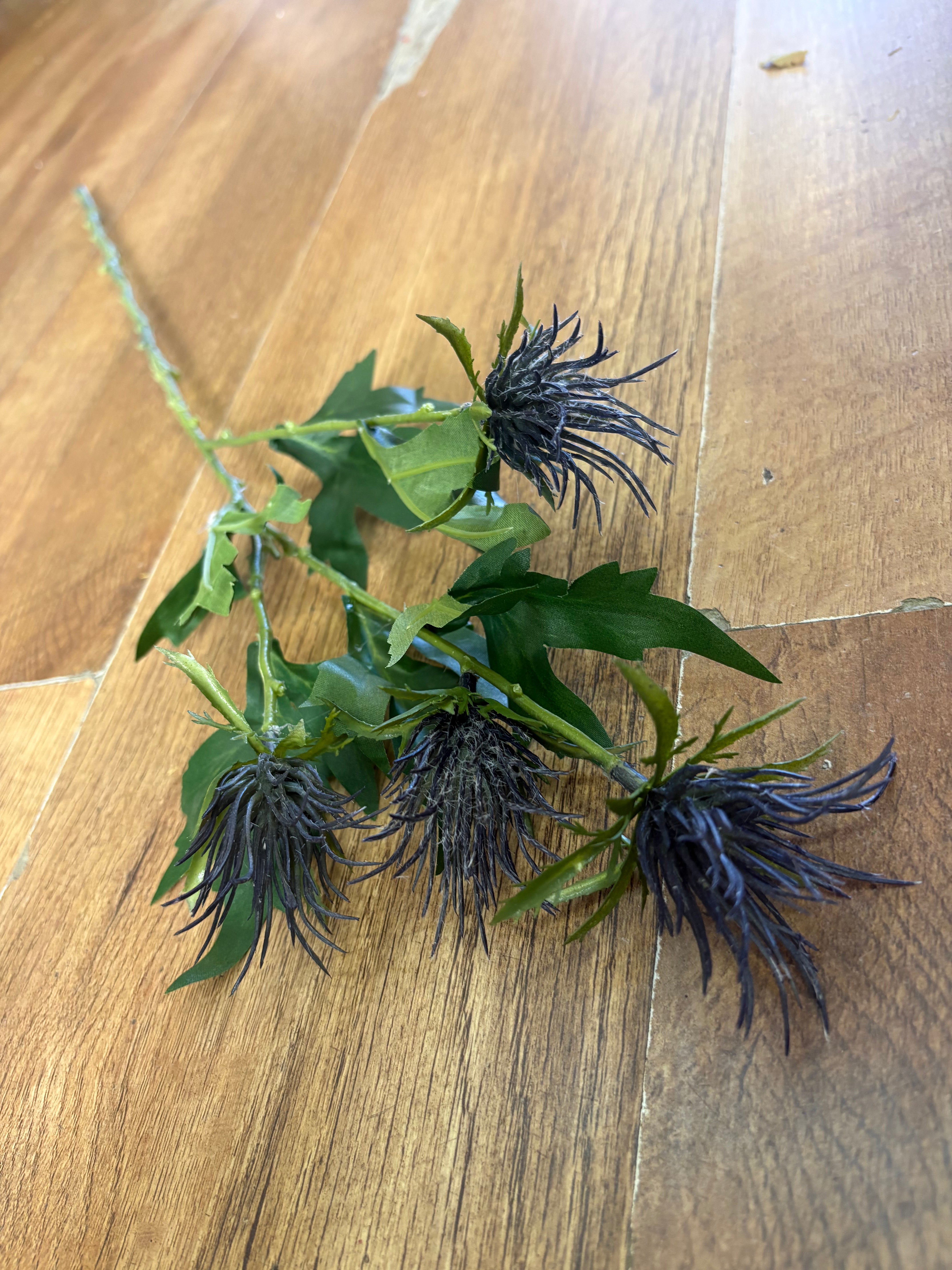 Long stem blue jagged thistle spray