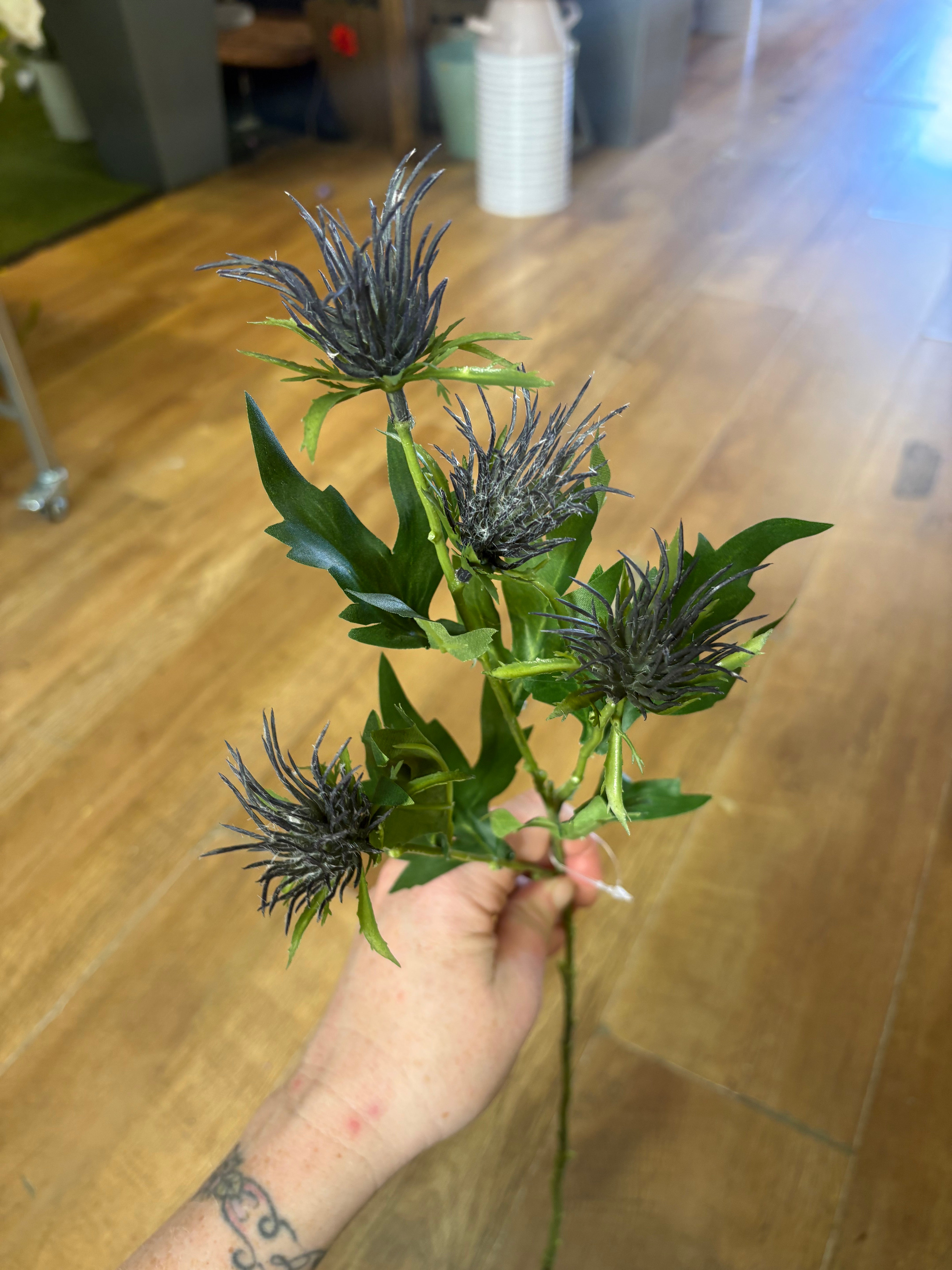 Long stem blue jagged thistle spray