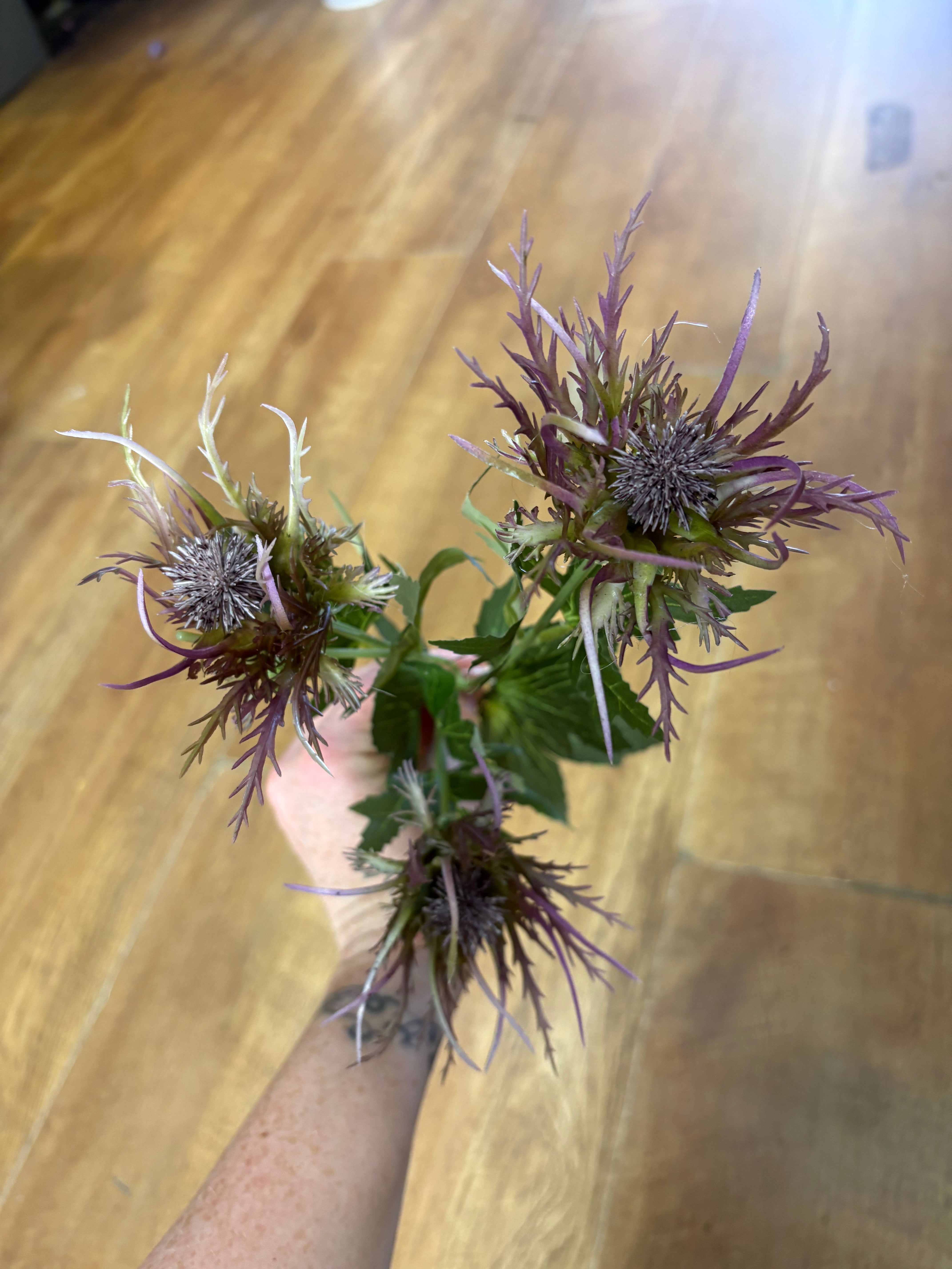 Long stem 3 headed purple spiky thistle spray
