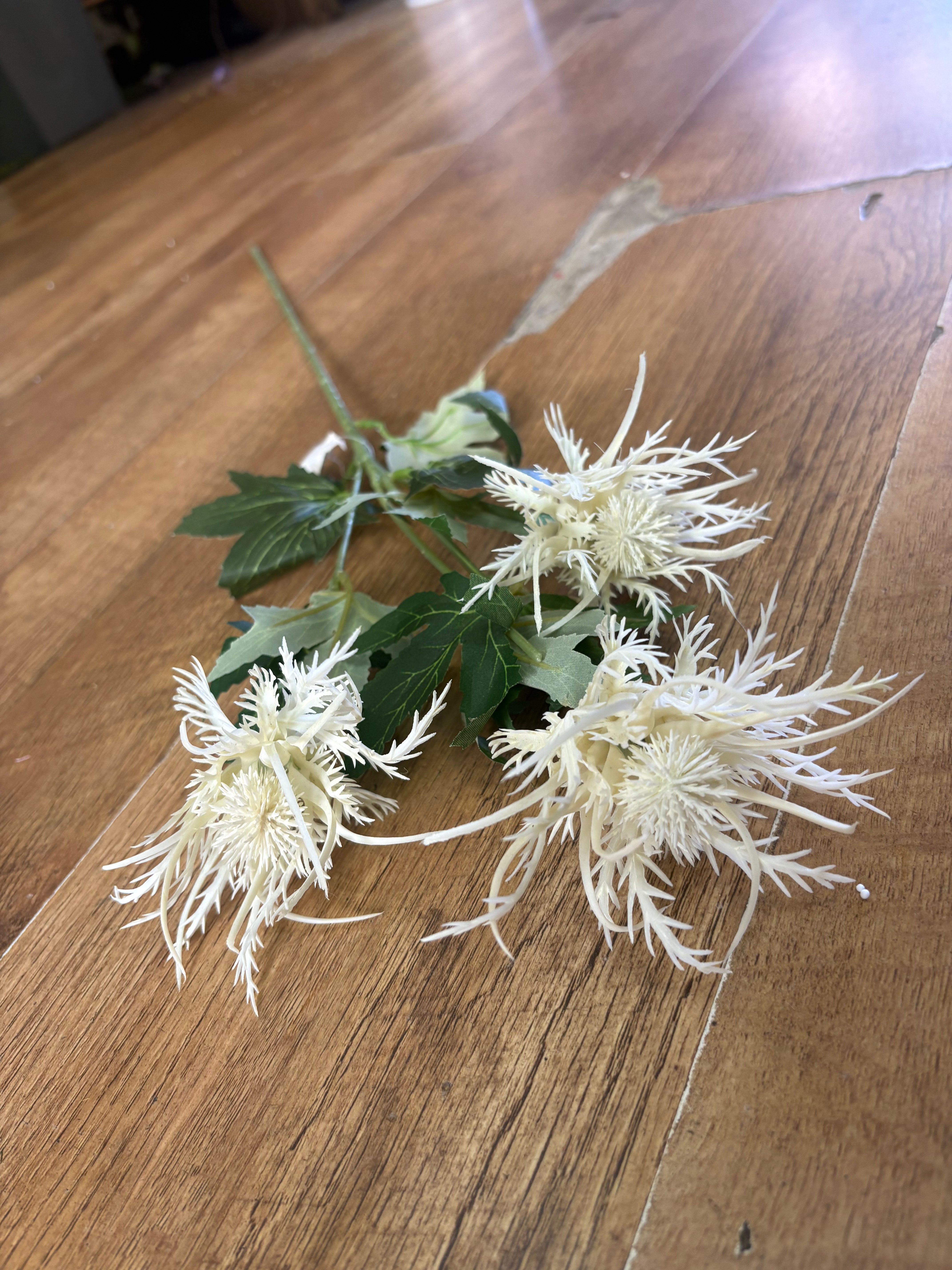 Long stem 3 headed creamy white spiky thistle spray