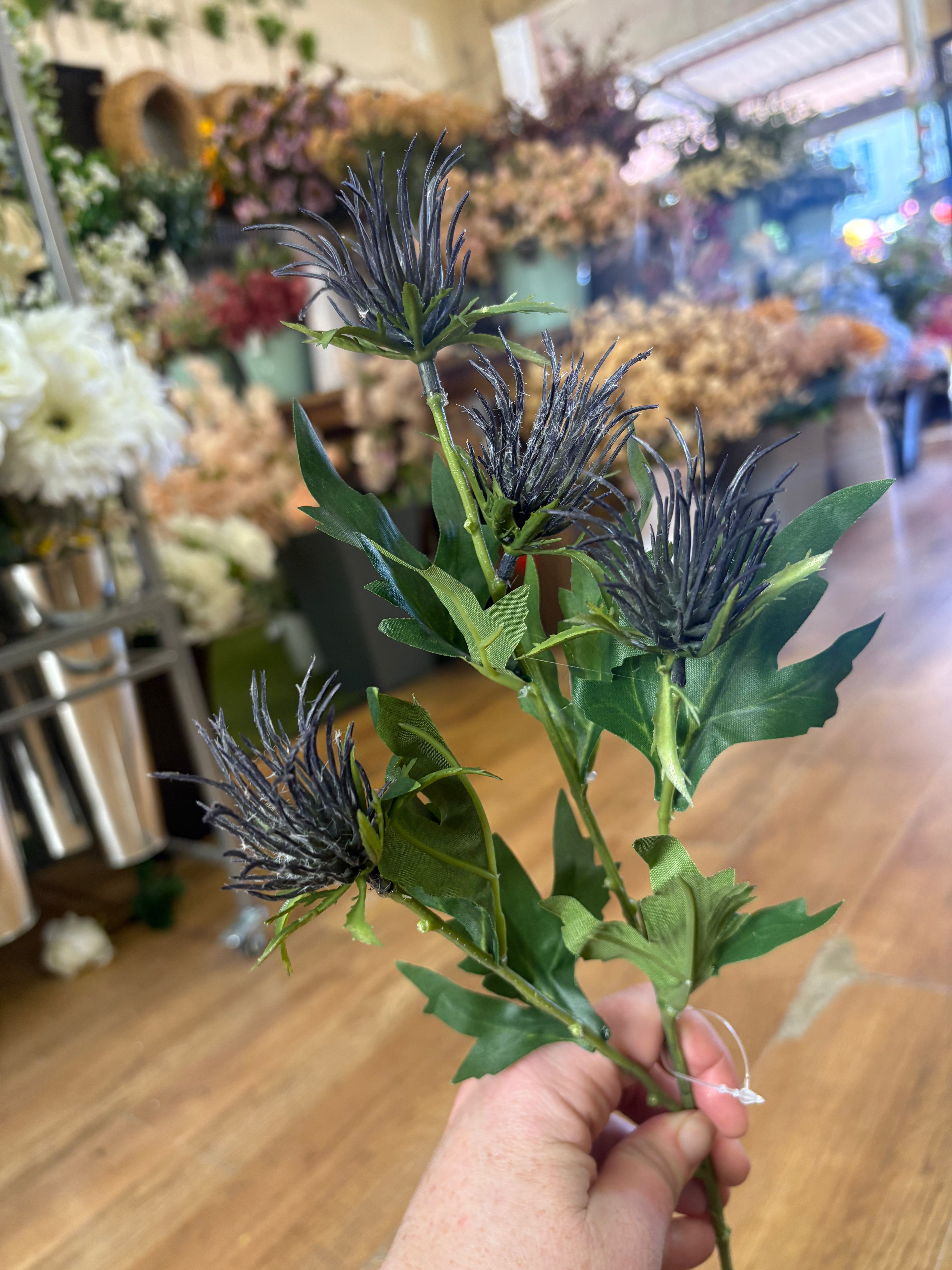 Long stem blue jagged thistle spray