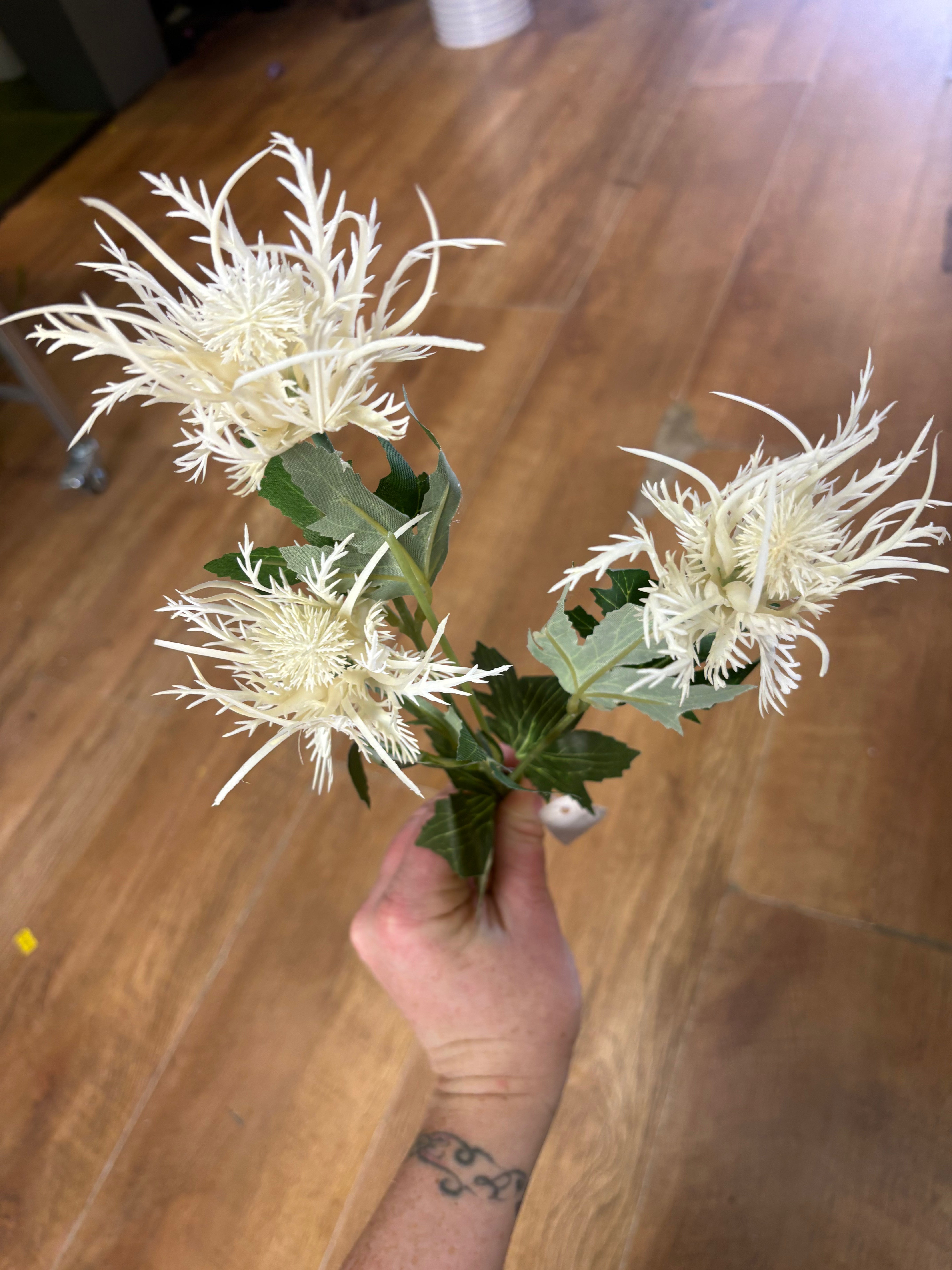 Long stem 3 headed creamy white spiky thistle spray