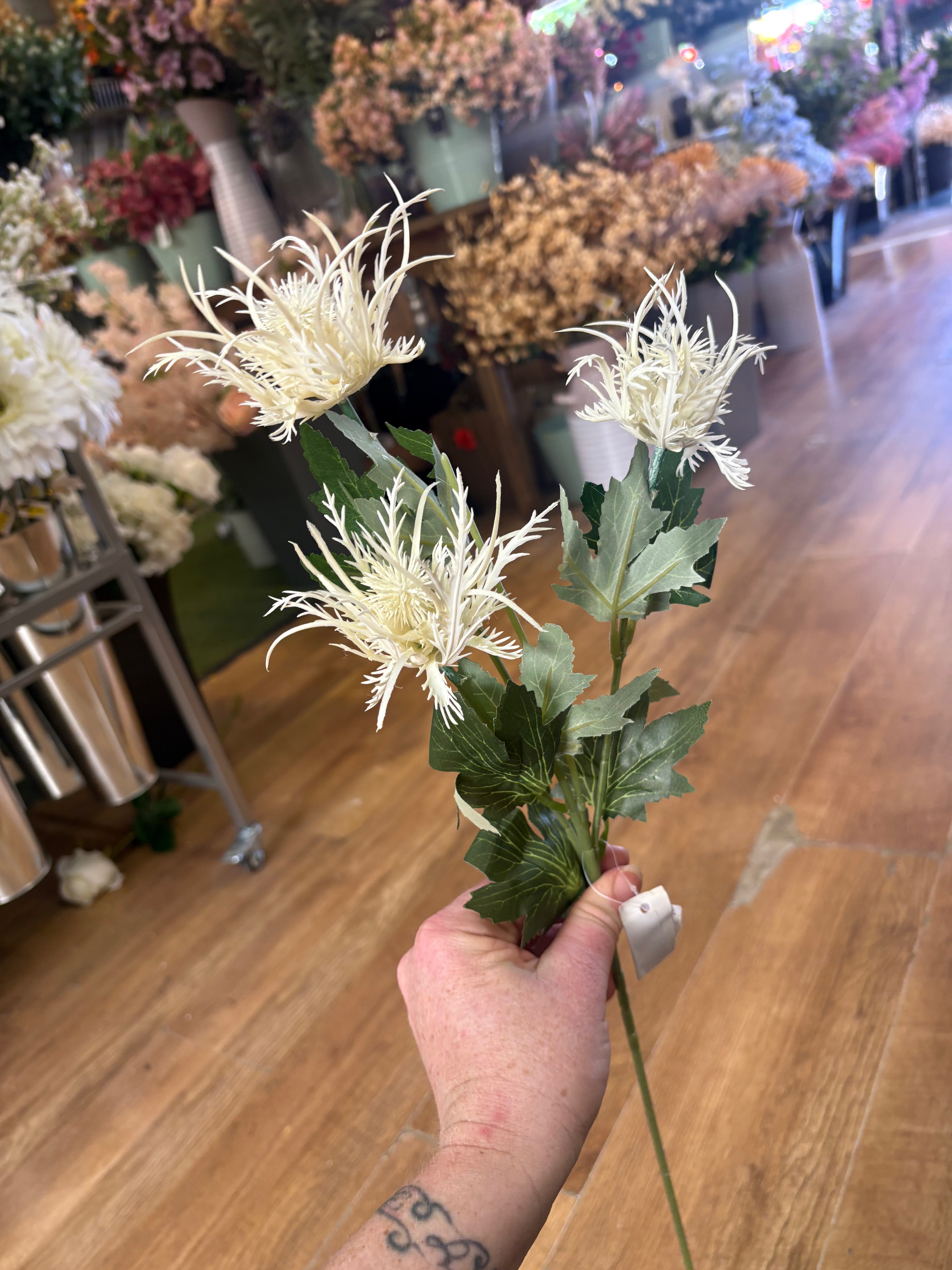 Long stem 3 headed creamy white spiky thistle spray