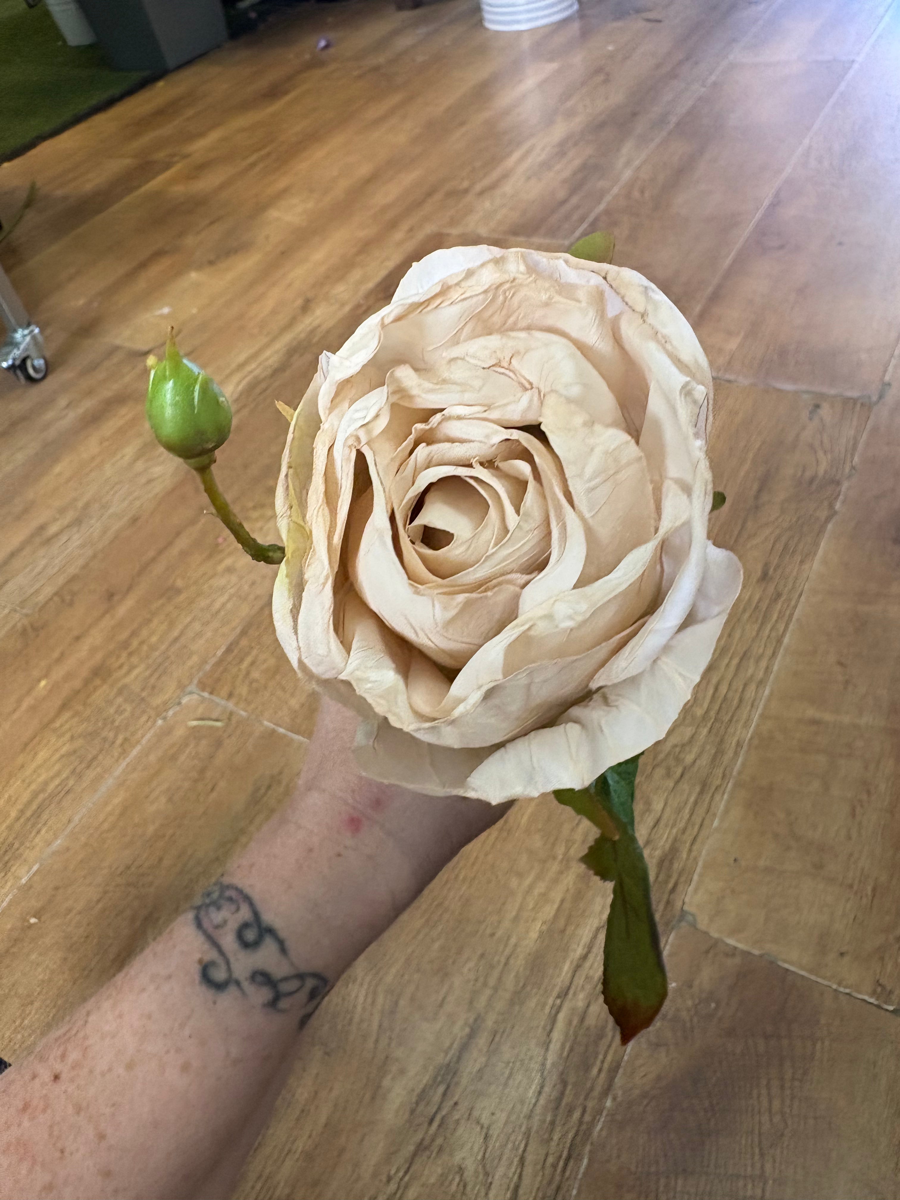 Dried inspired single oyster Valera rose