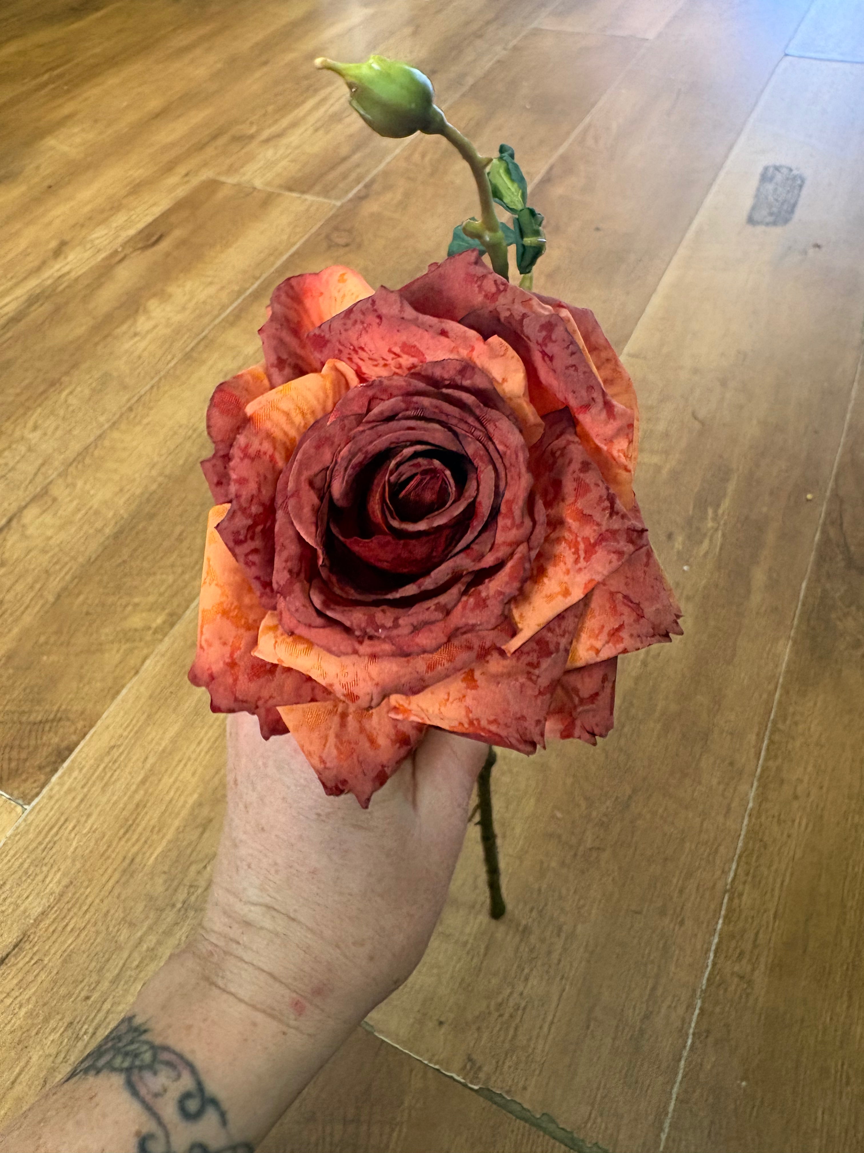 Dried inspired single Russet Marisa rose
