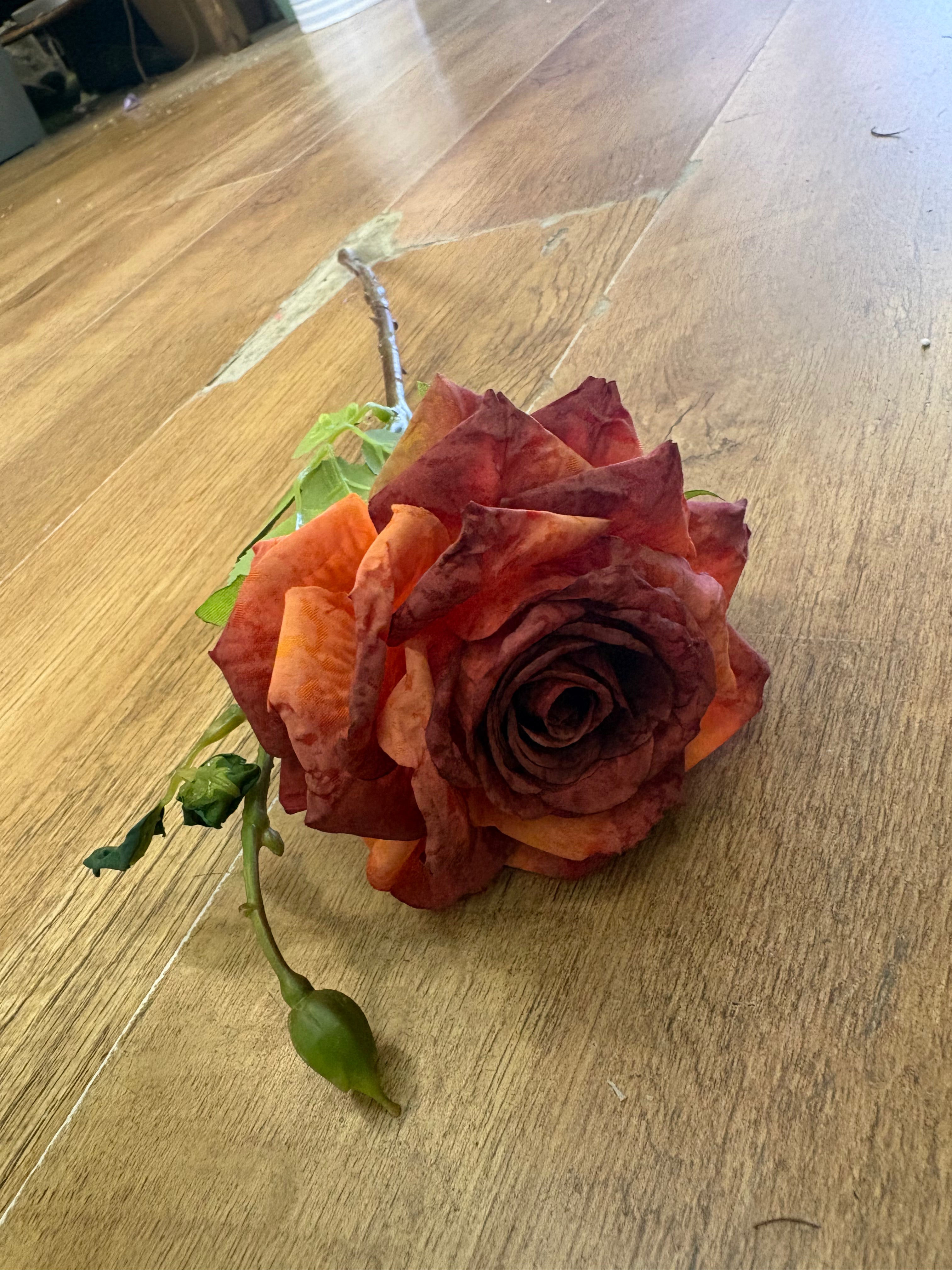 Dried inspired single Russet Marisa rose