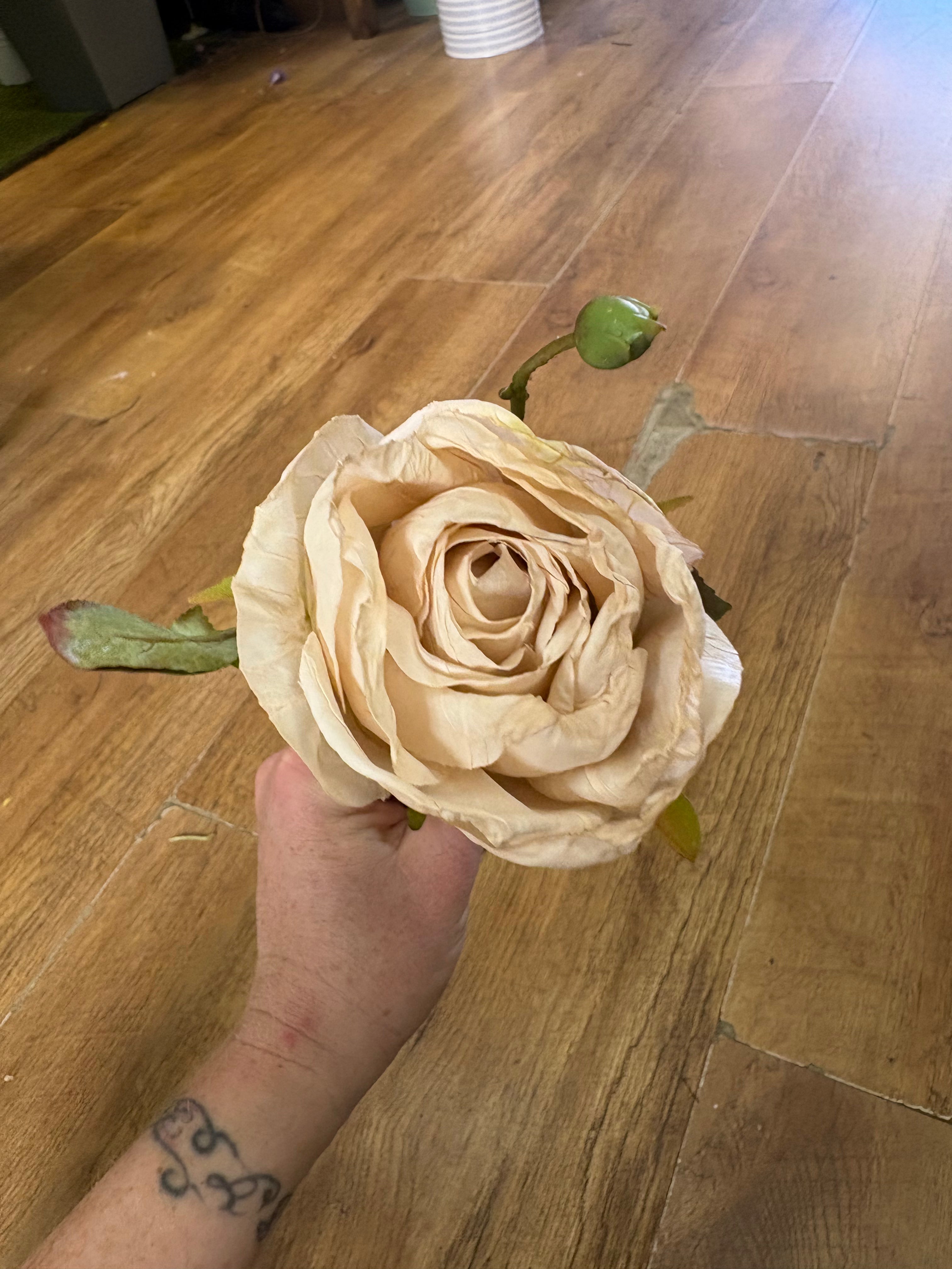 Dried inspired single oyster Valera rose