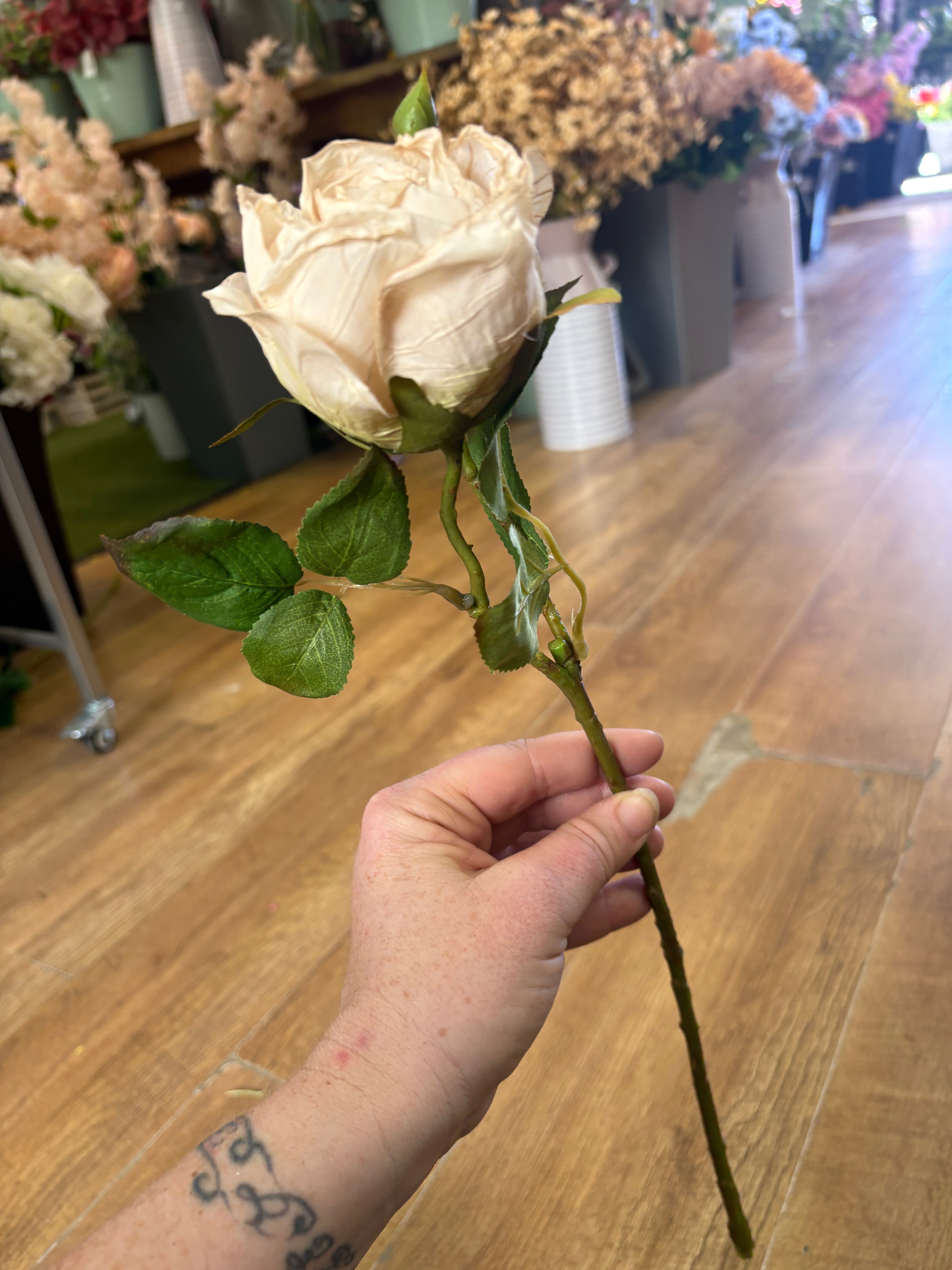 Dried inspired single oyster Valera rose