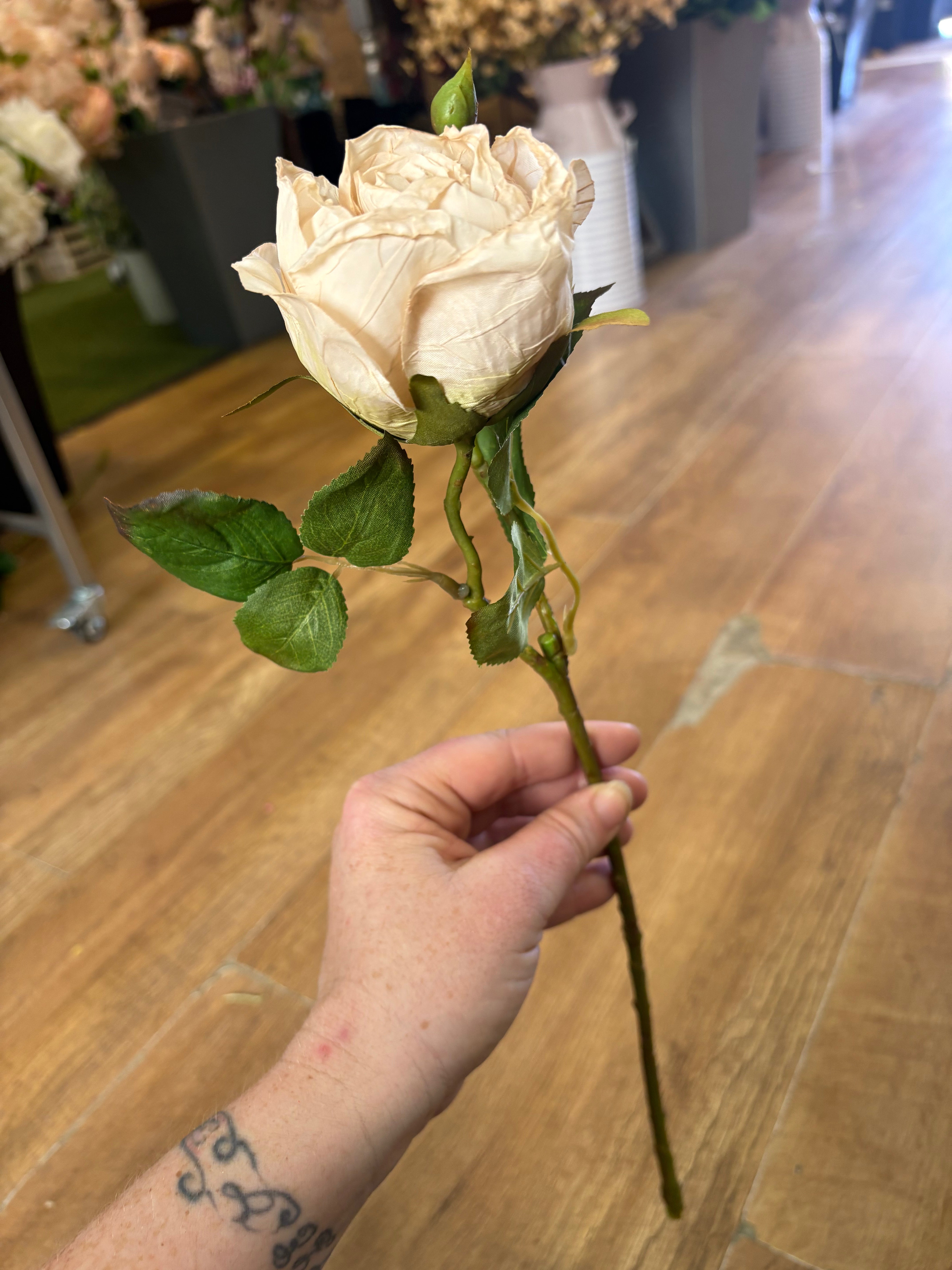 Dried inspired single oyster Valera rose