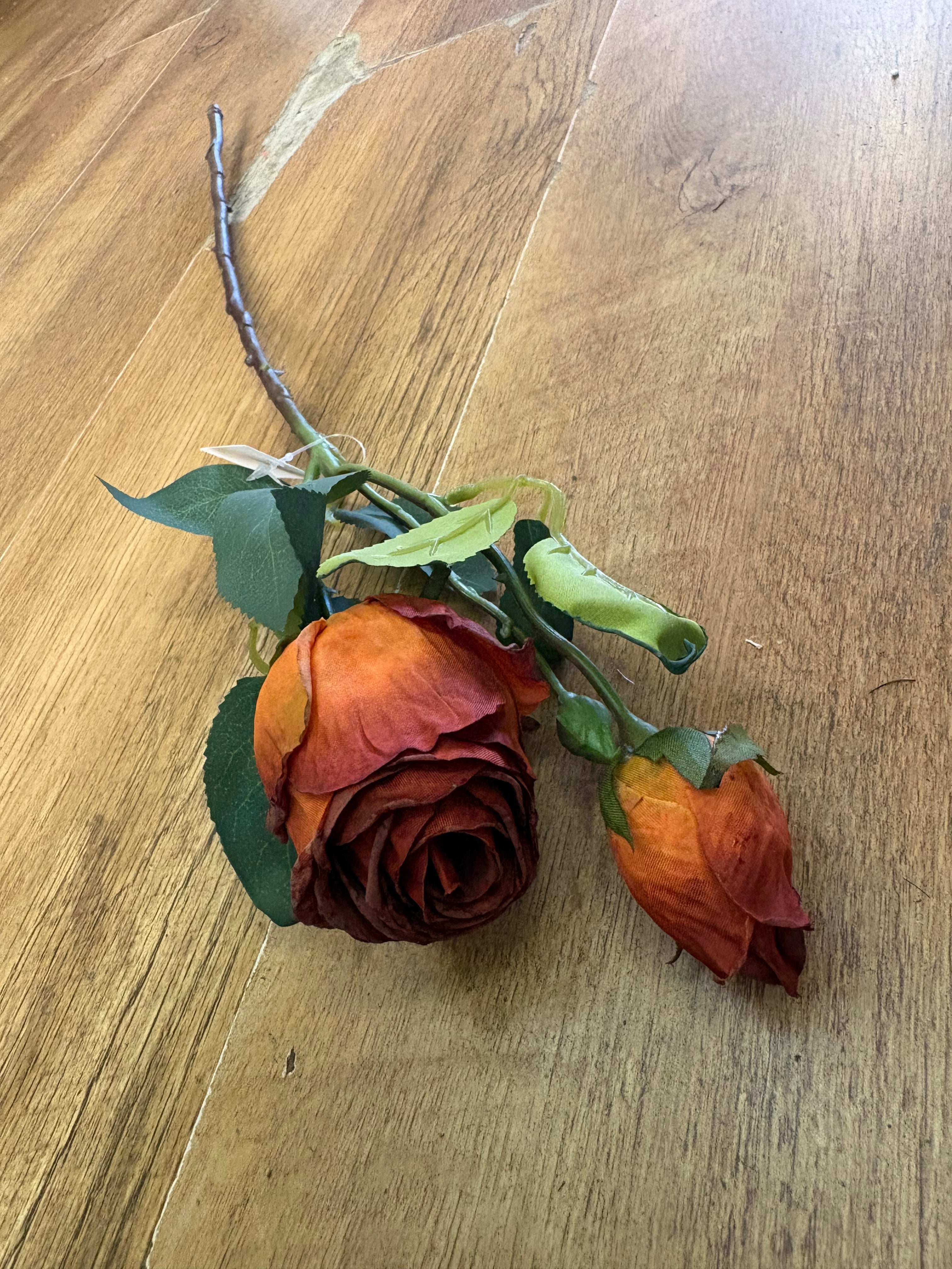 Dried inspired single russet gemini rose