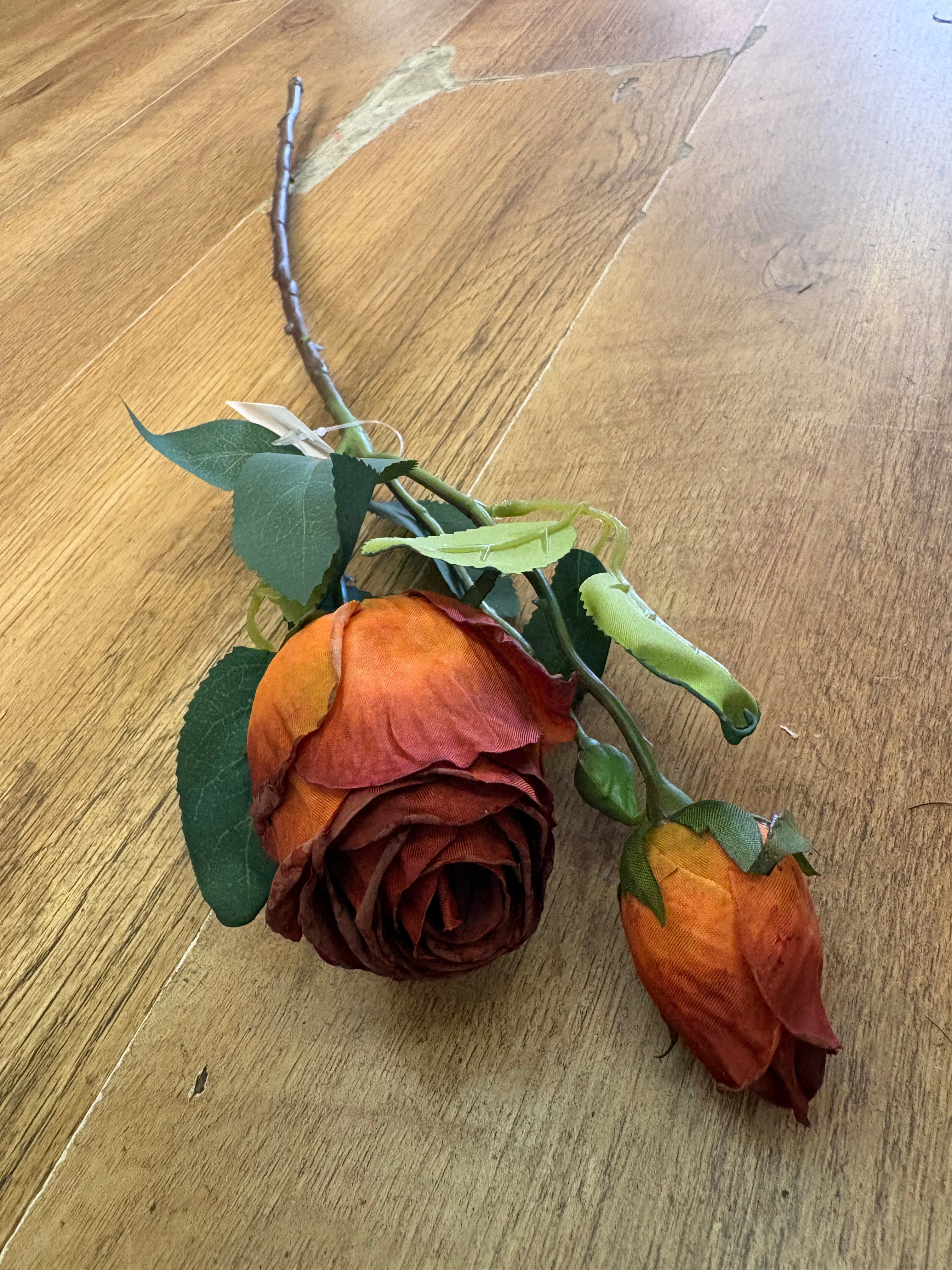 Dried inspired single russet gemini rose