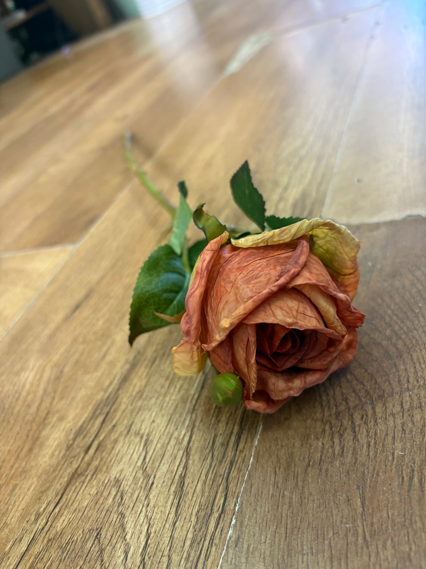 Dried inspired single orange Valera rose