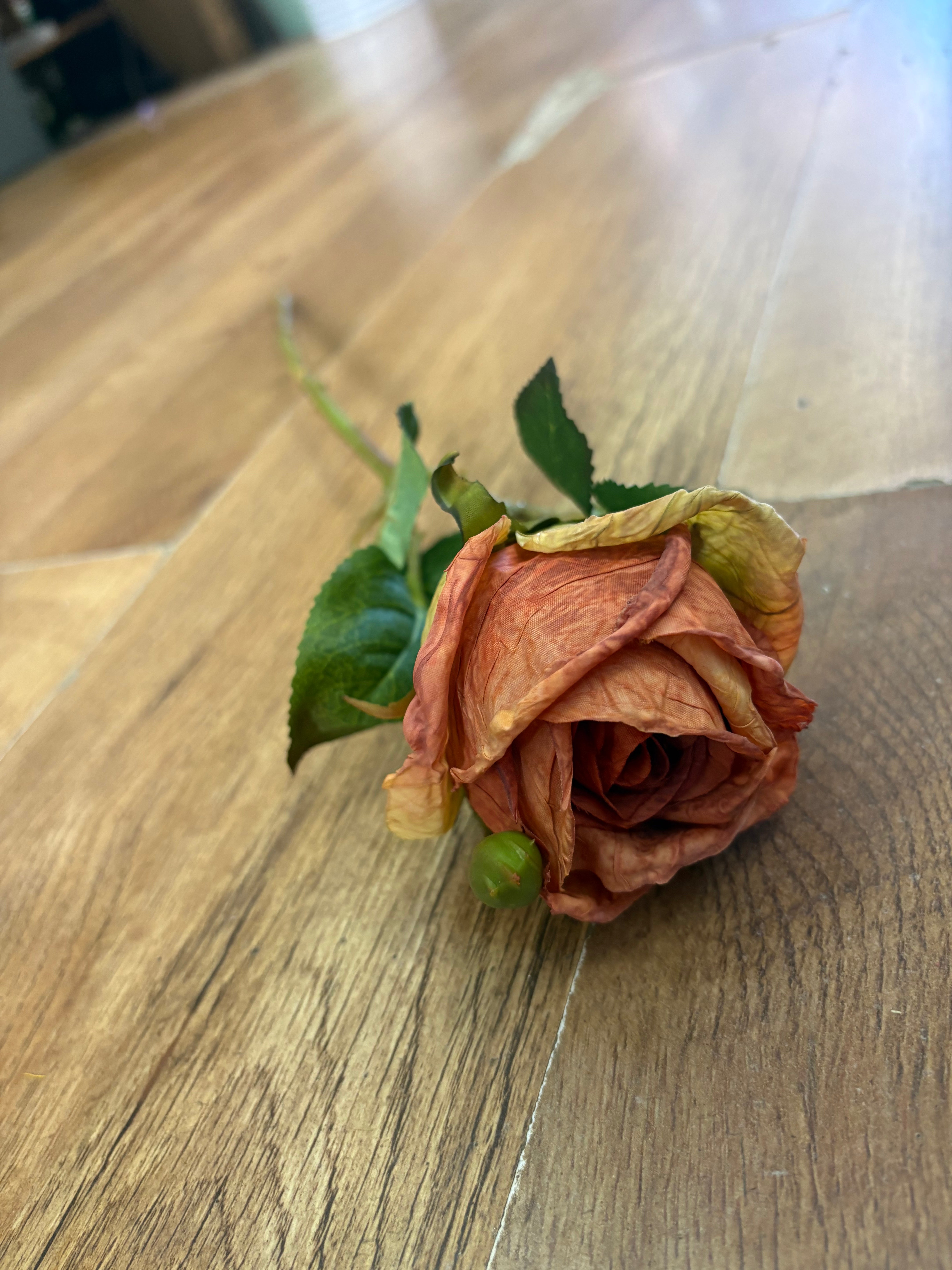 Dried inspired single orange Valera rose