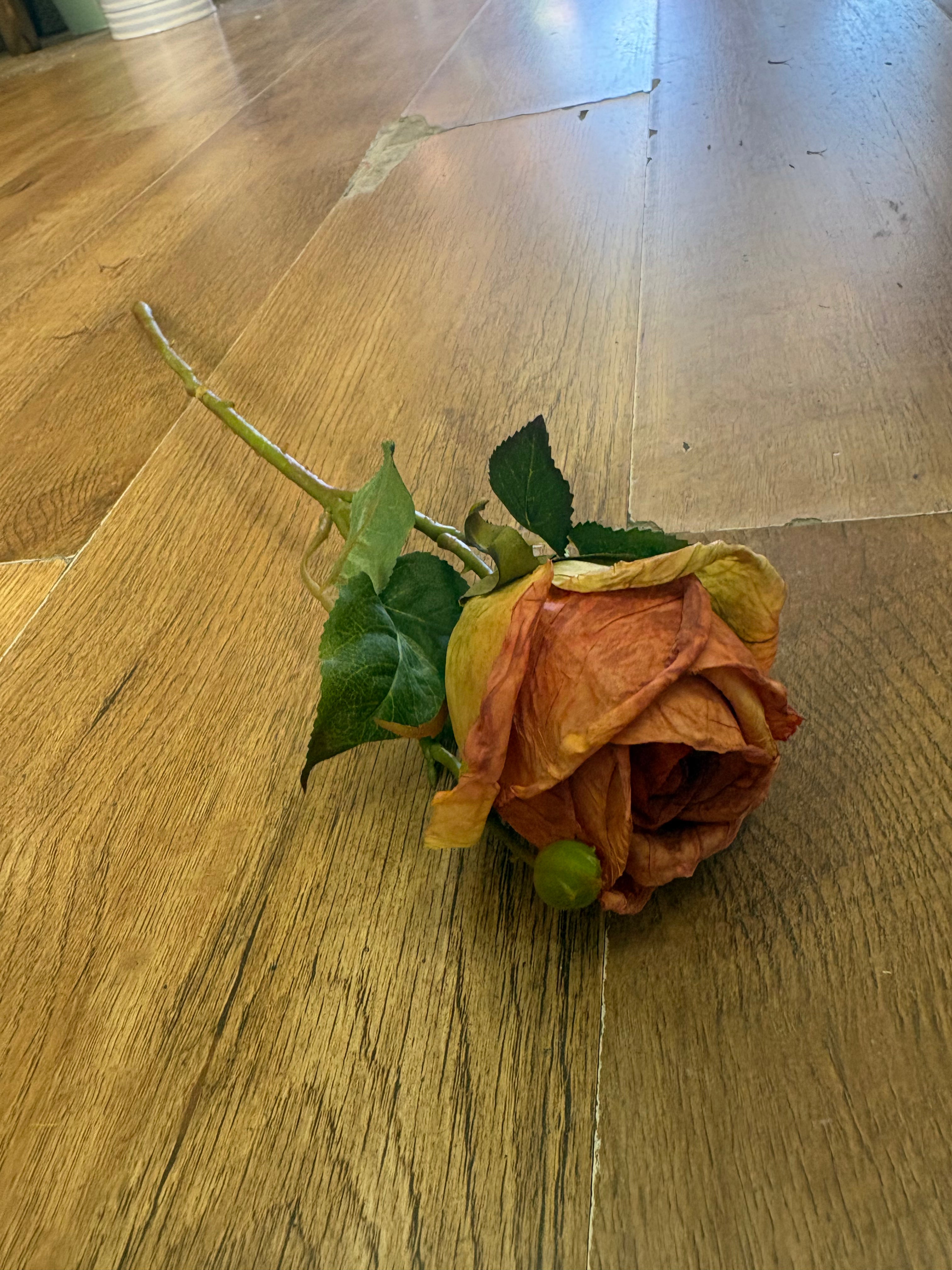 Dried inspired single orange Valera rose