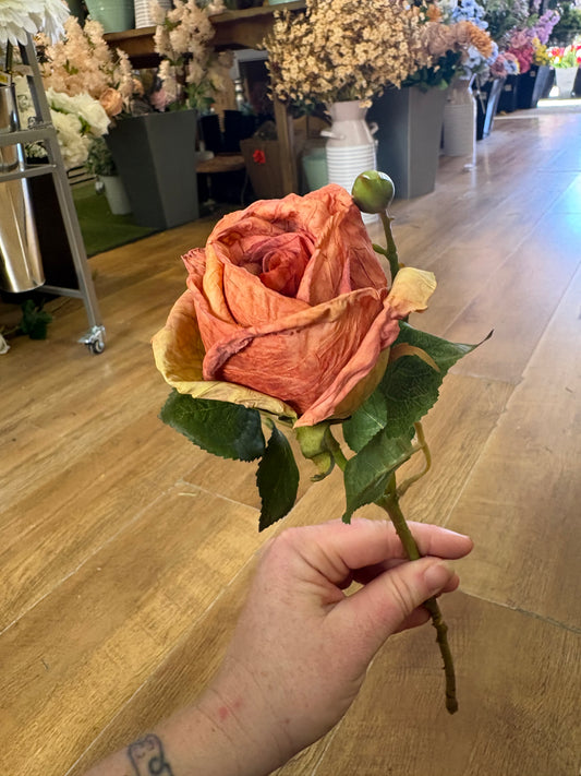 Dried inspired single orange Valera rose