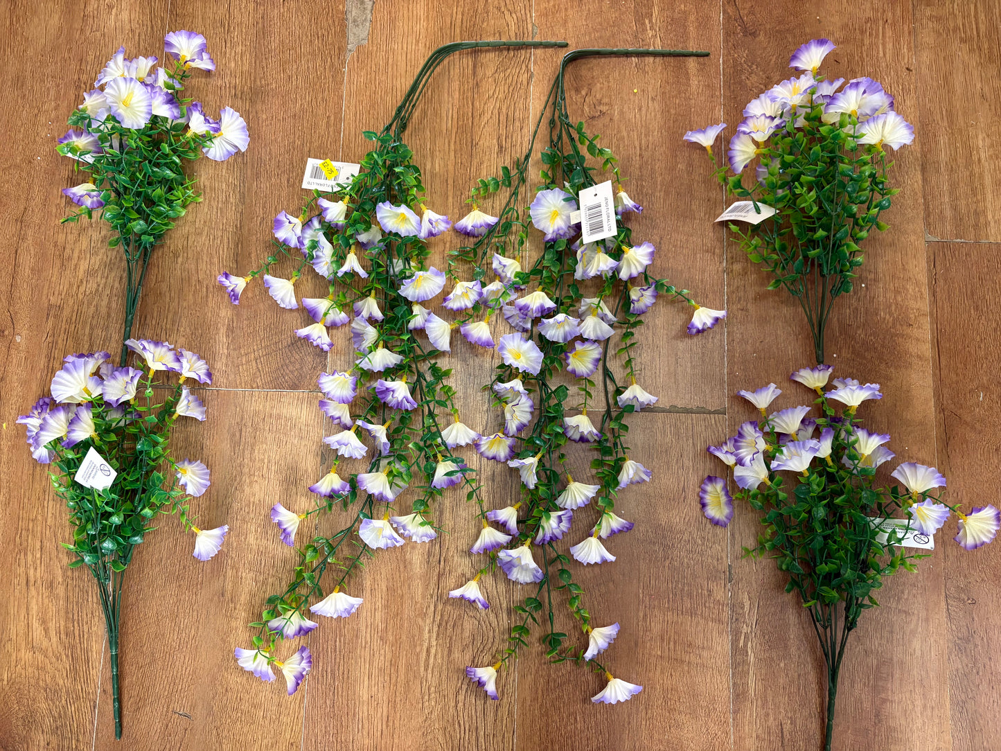 Hanging basket bundle - 2 trailers, 4 bunches - white with purple edges