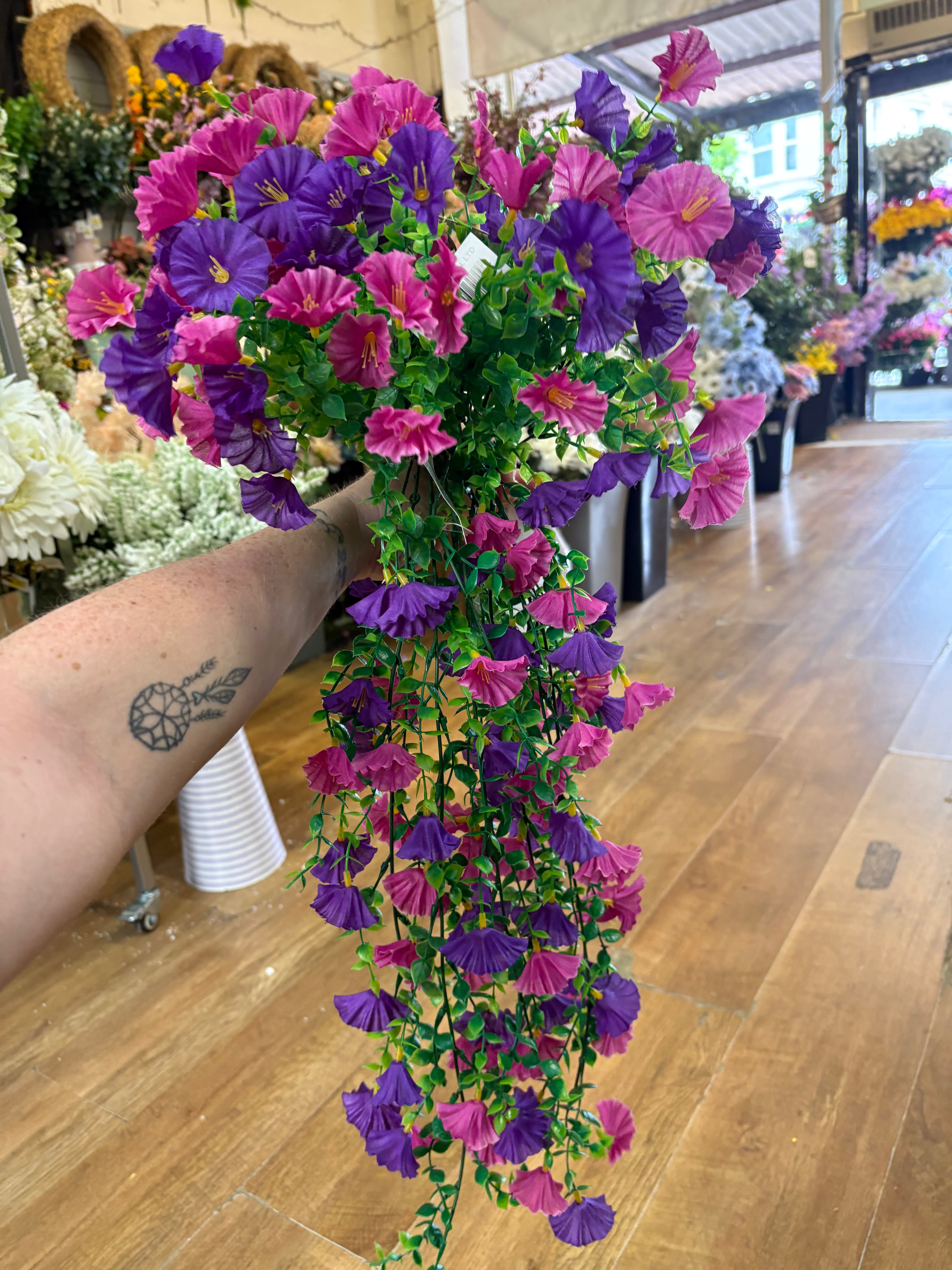 Hanging basket bundle - 2 trailers, 4 bunches - purple and raspberry