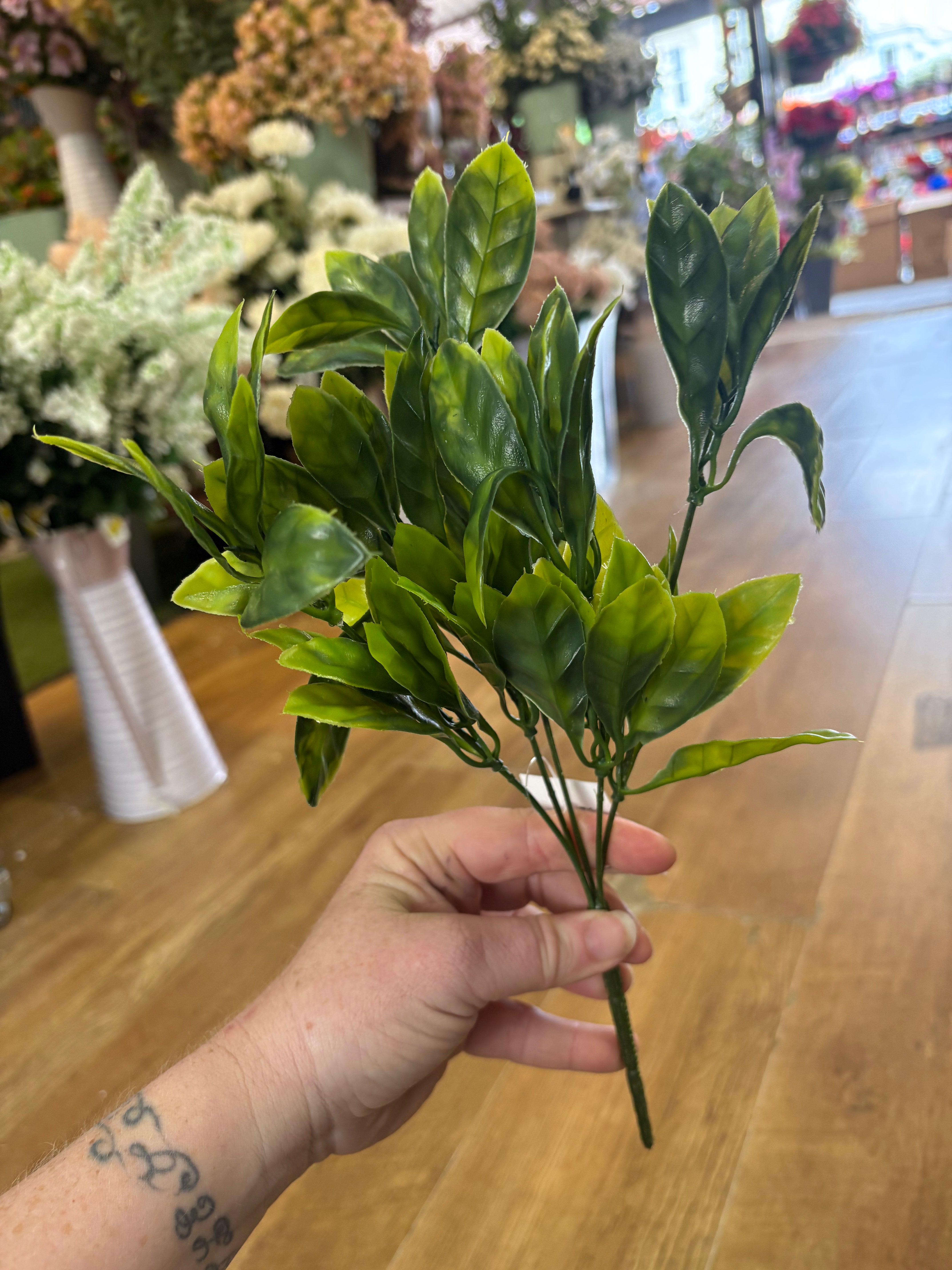Bay leaf bunch