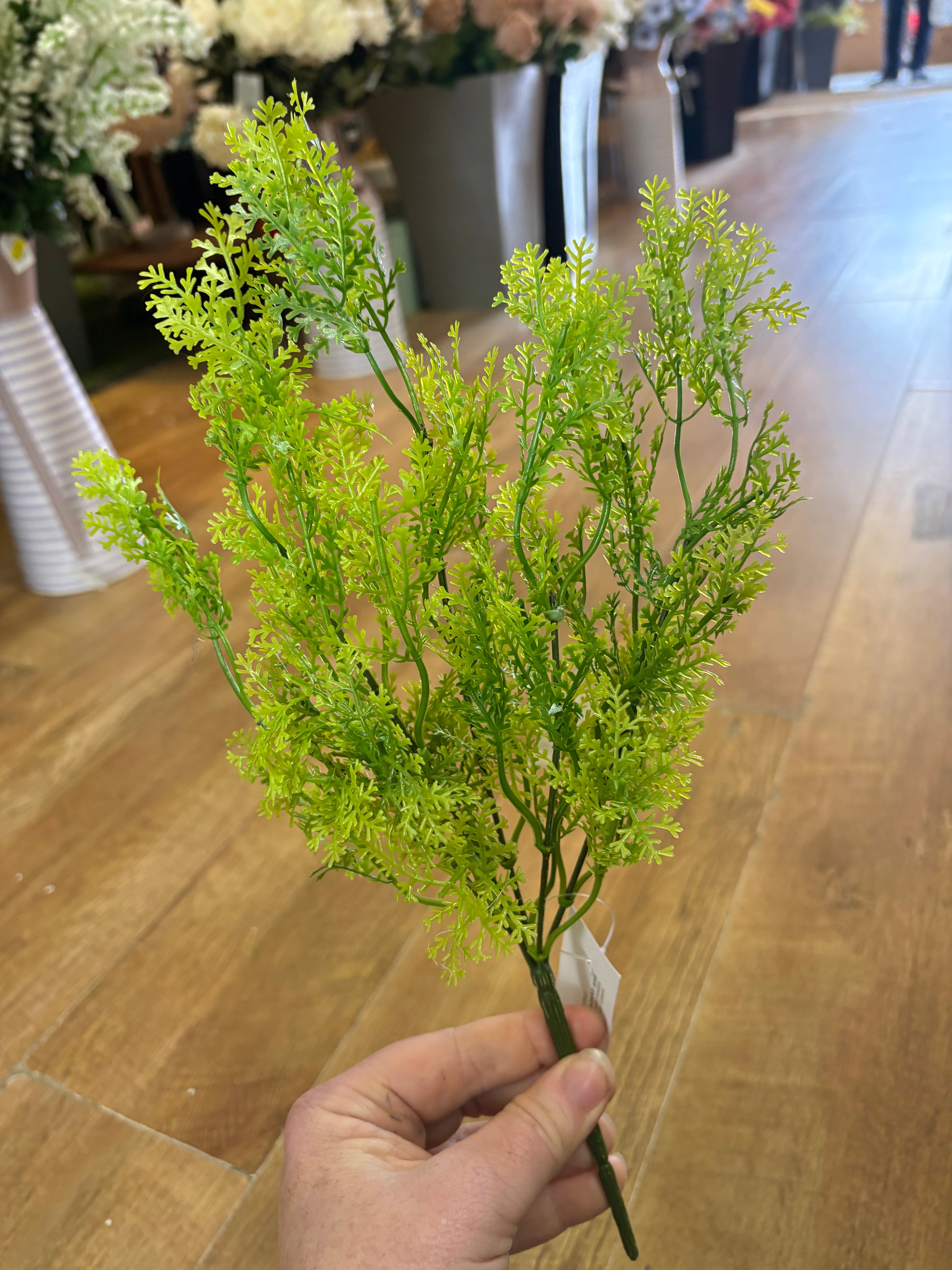 Asparagus fern bunch