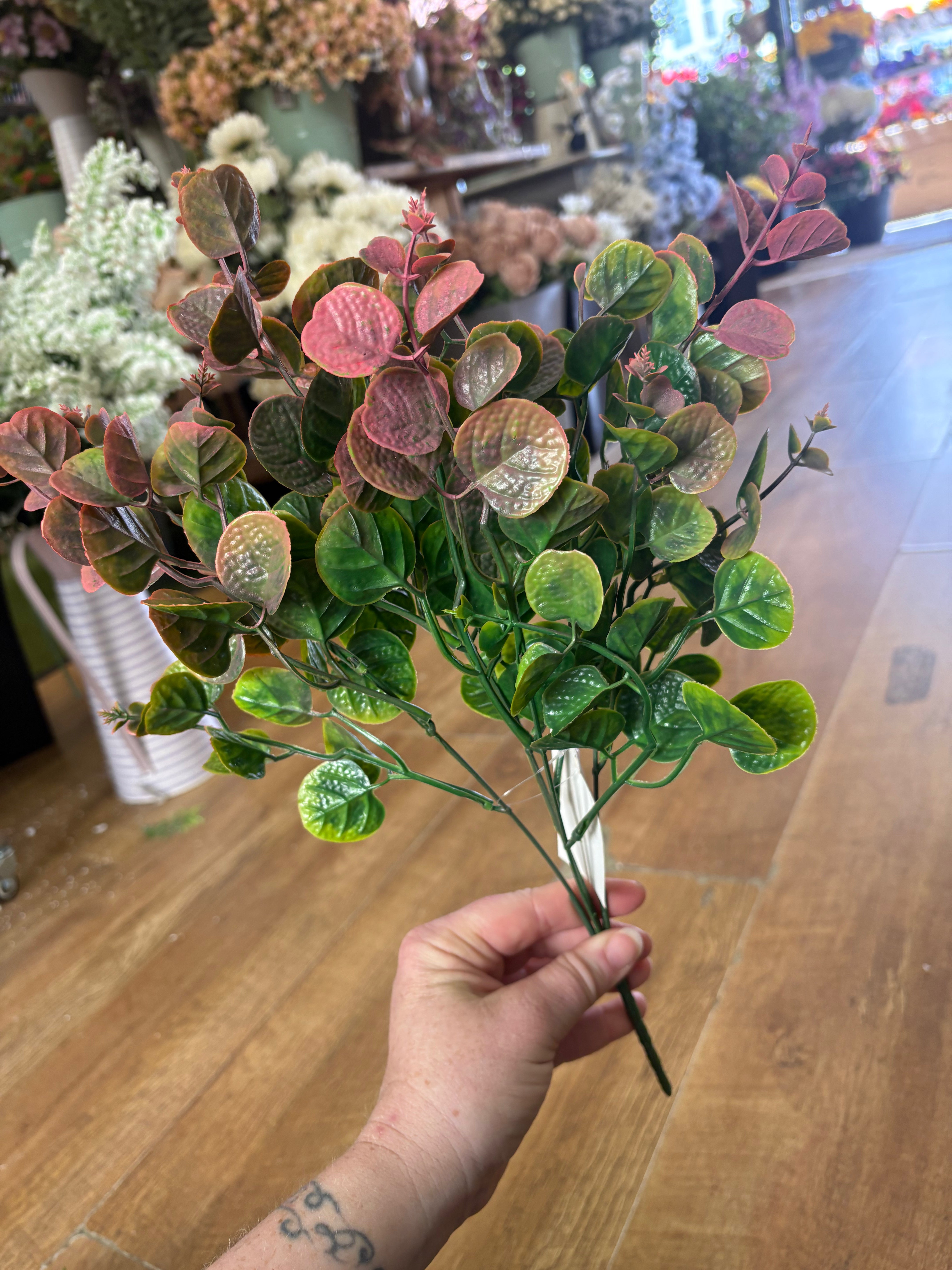 Pink tinted gum drop eucalyptus bunch
