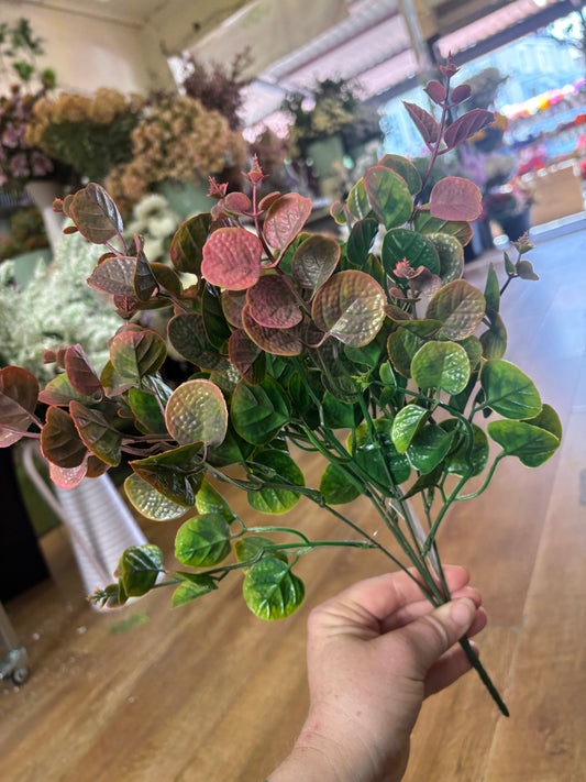 Pink tinted gum drop eucalyptus bunch