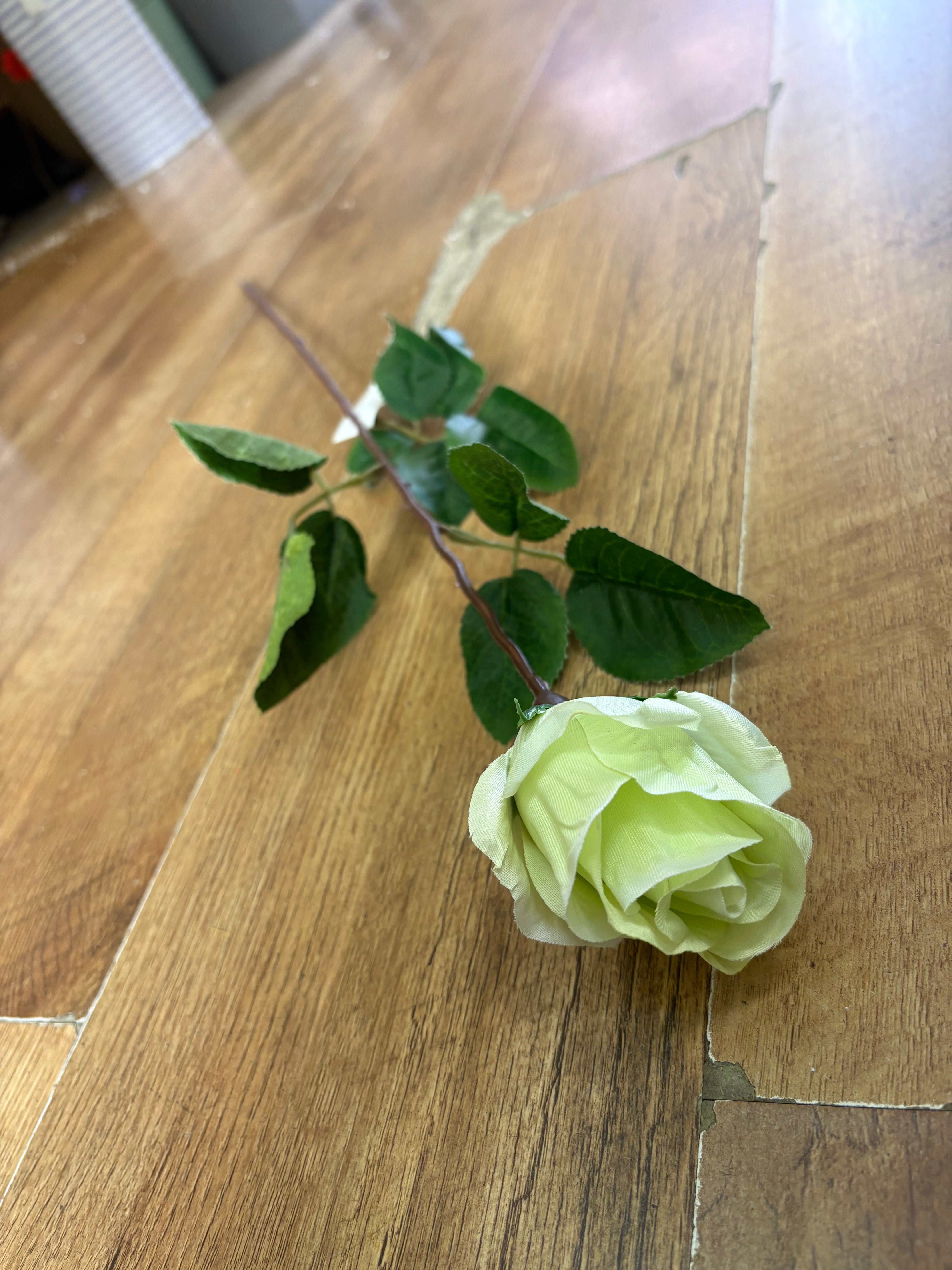 Long stem mint Green closed rose