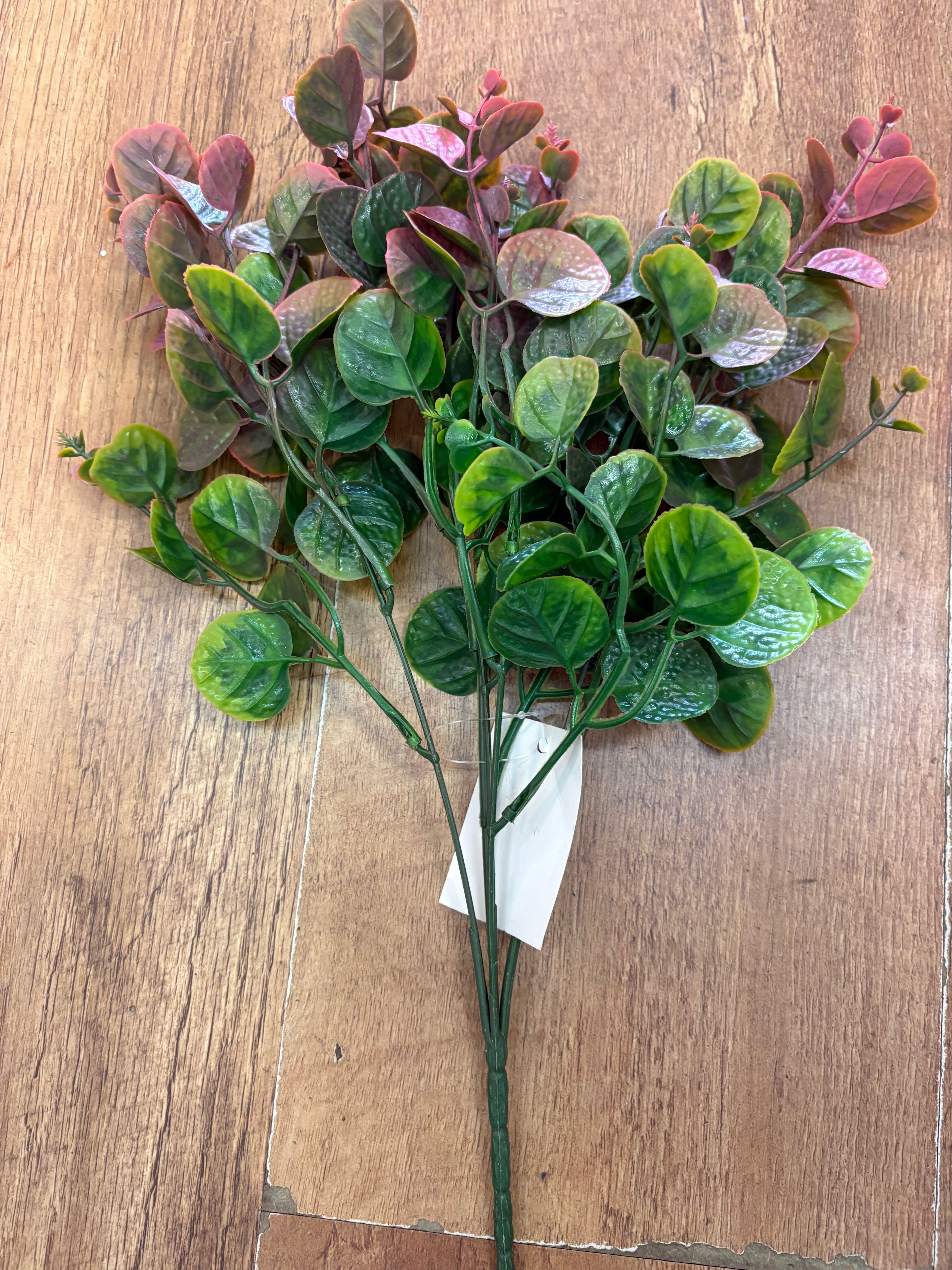 Pink tinted gum drop eucalyptus bunch