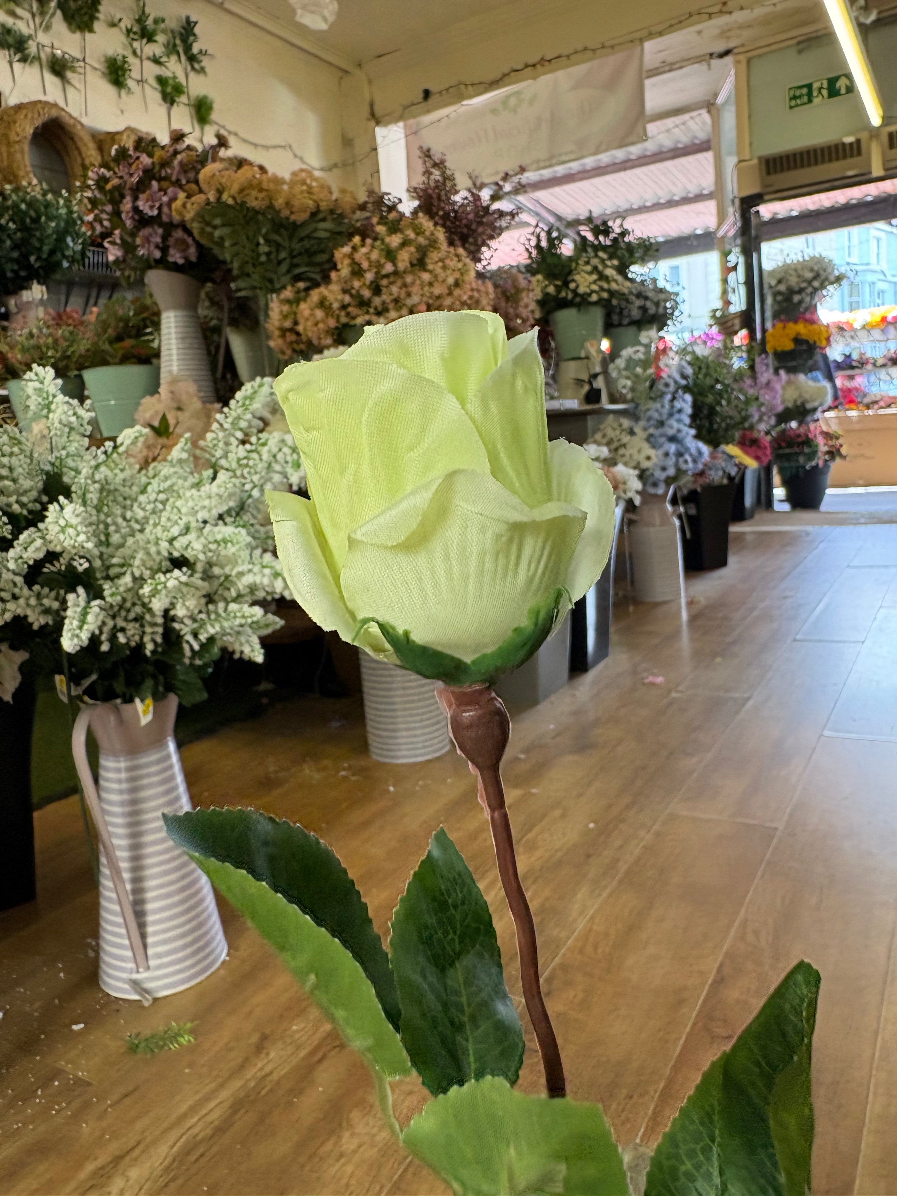 Long stem mint Green closed rose