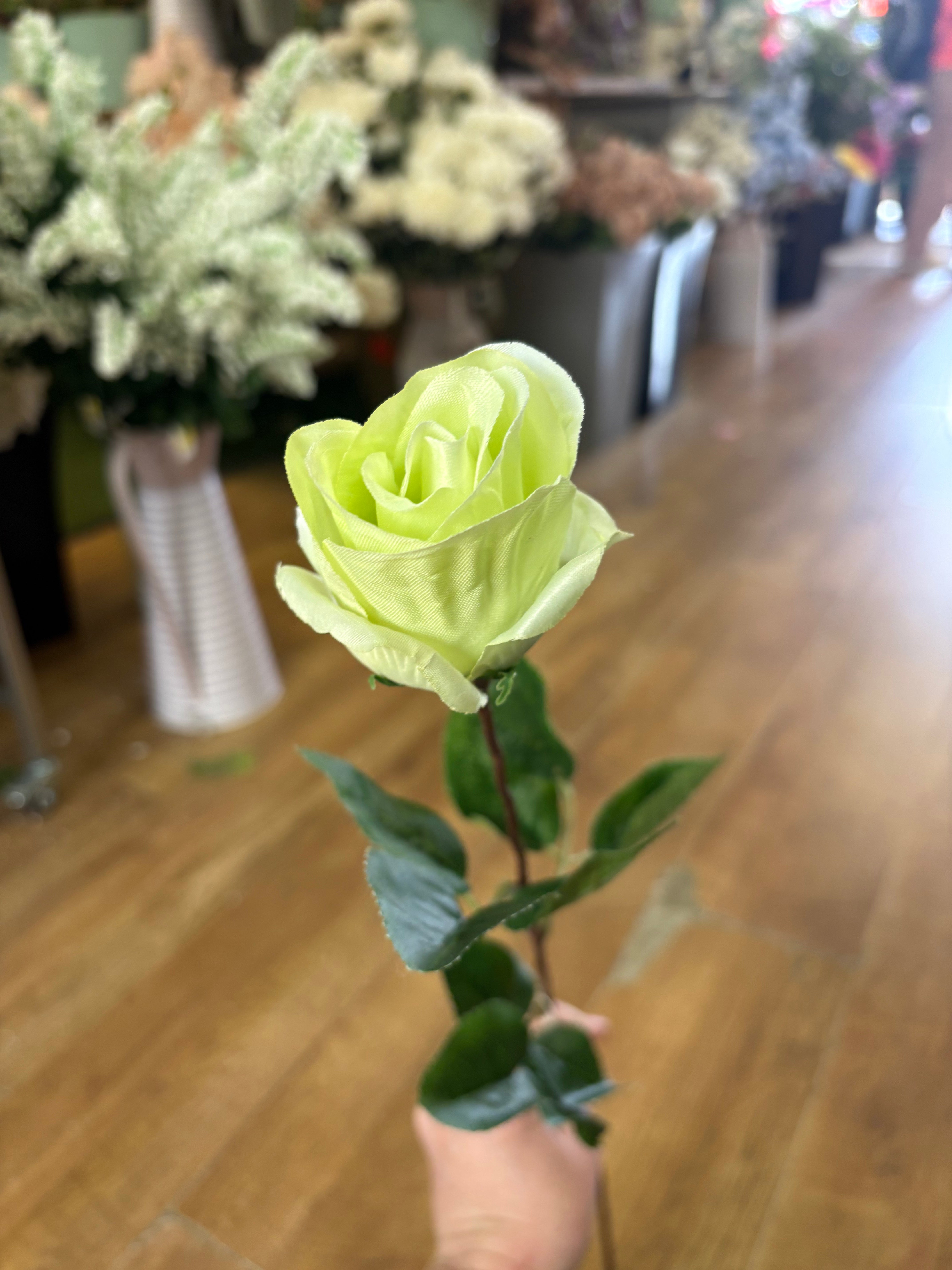 Long stem mint Green closed rose