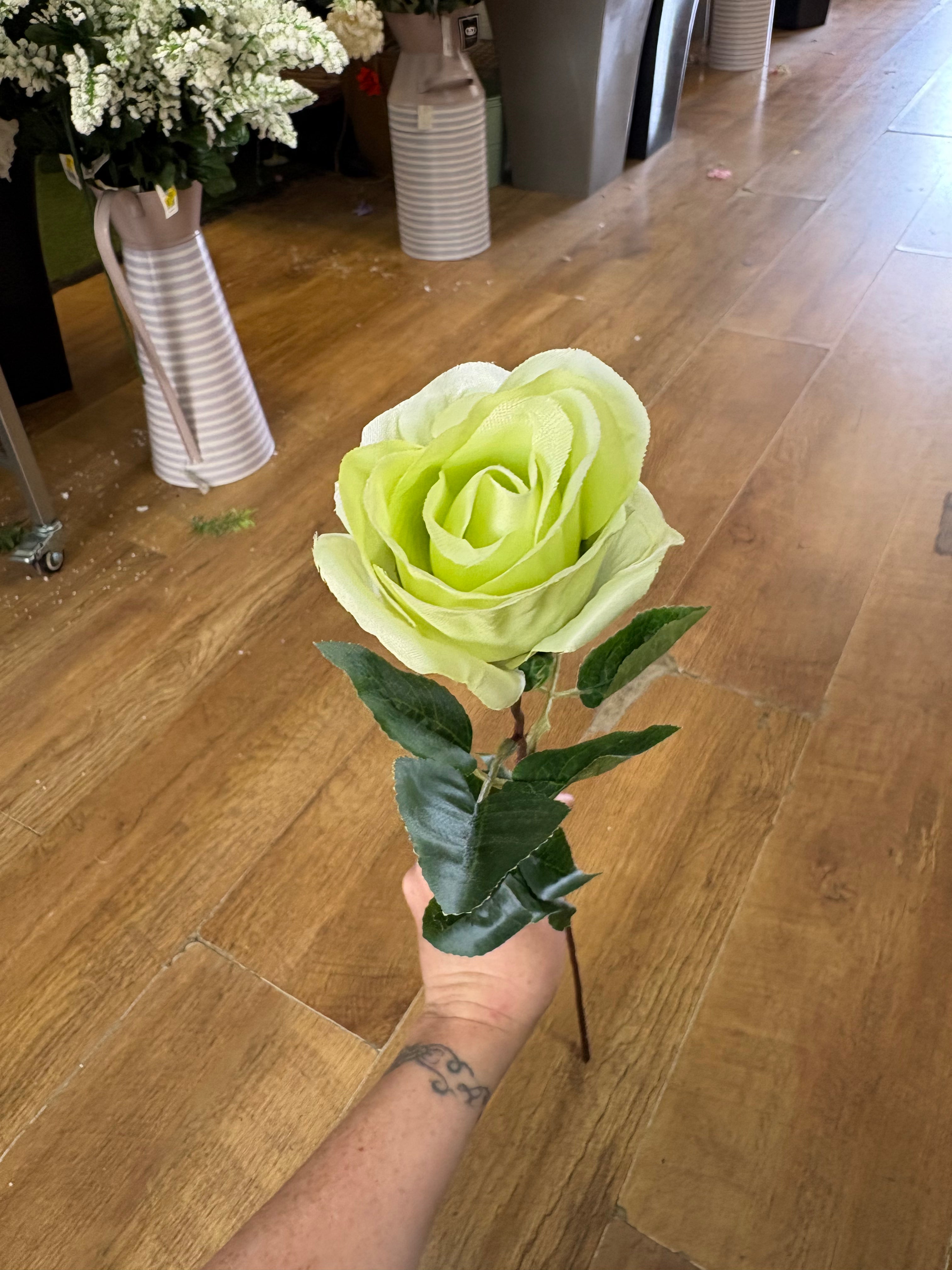 Long stem mint Green closed rose