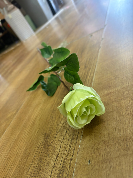 Long stem mint Green closed rose