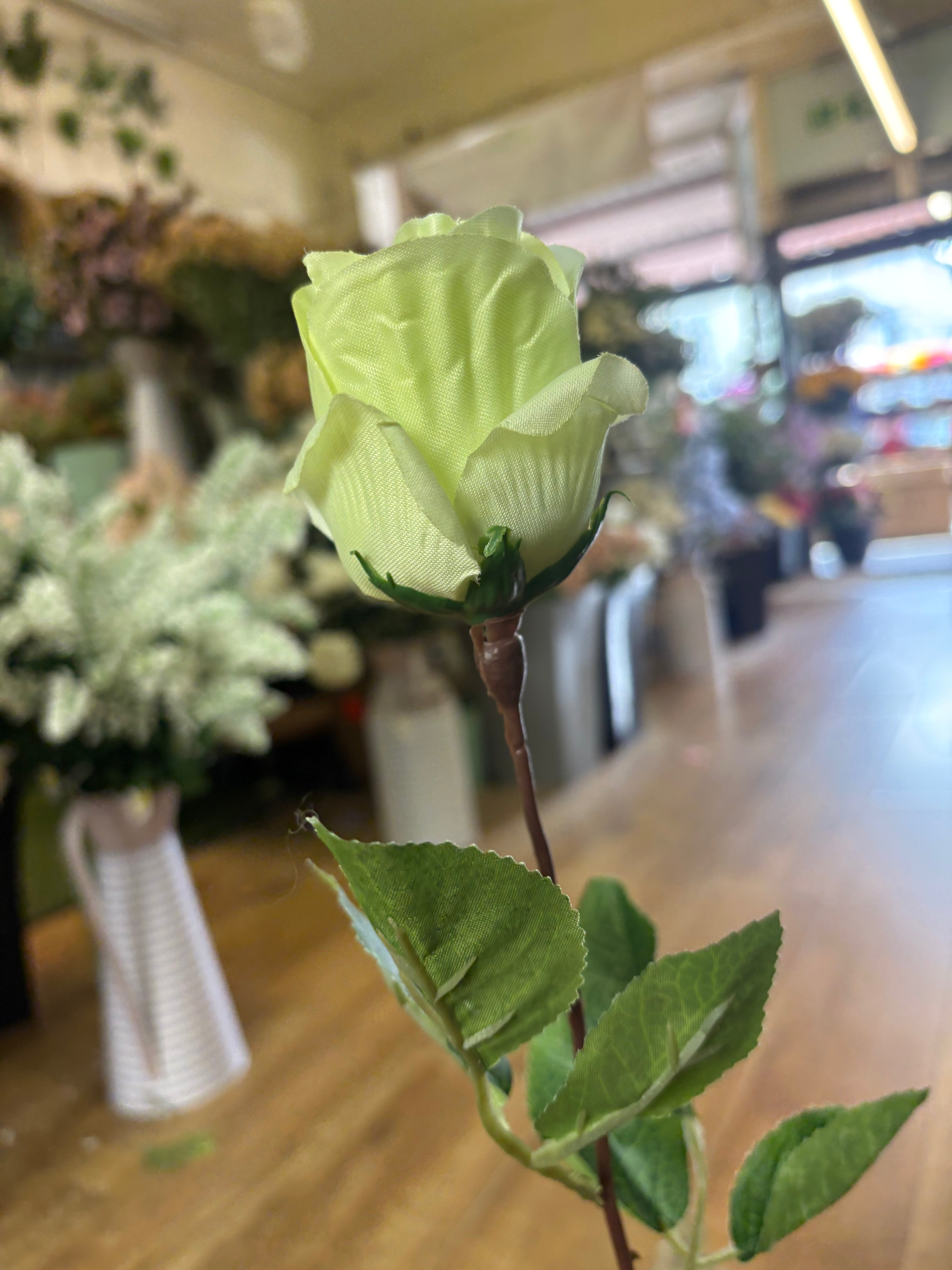 Long stem mint Green closed rose