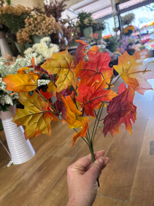 Autumnal maple leaf bunch