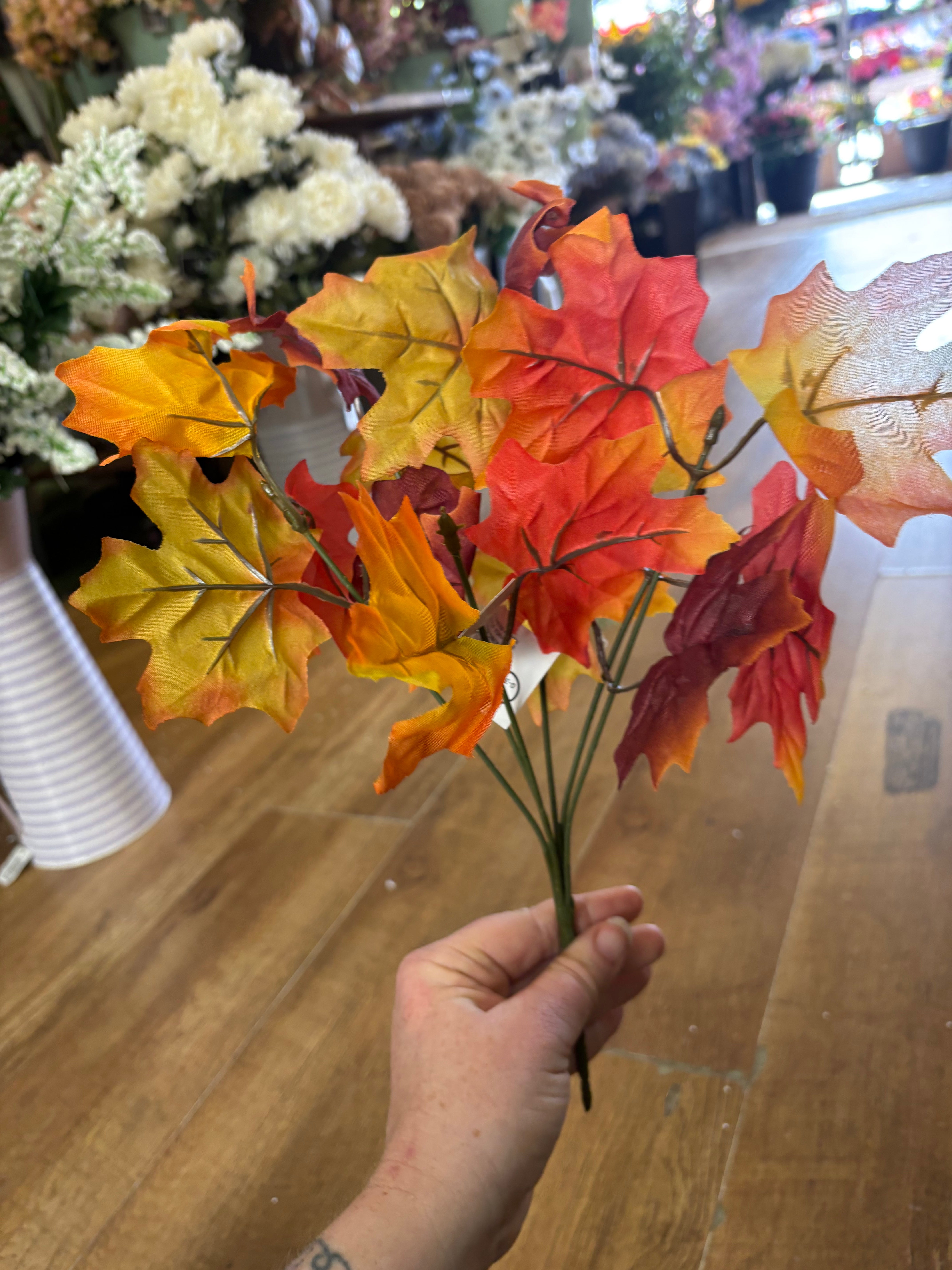 Autumnal maple leaf bunch