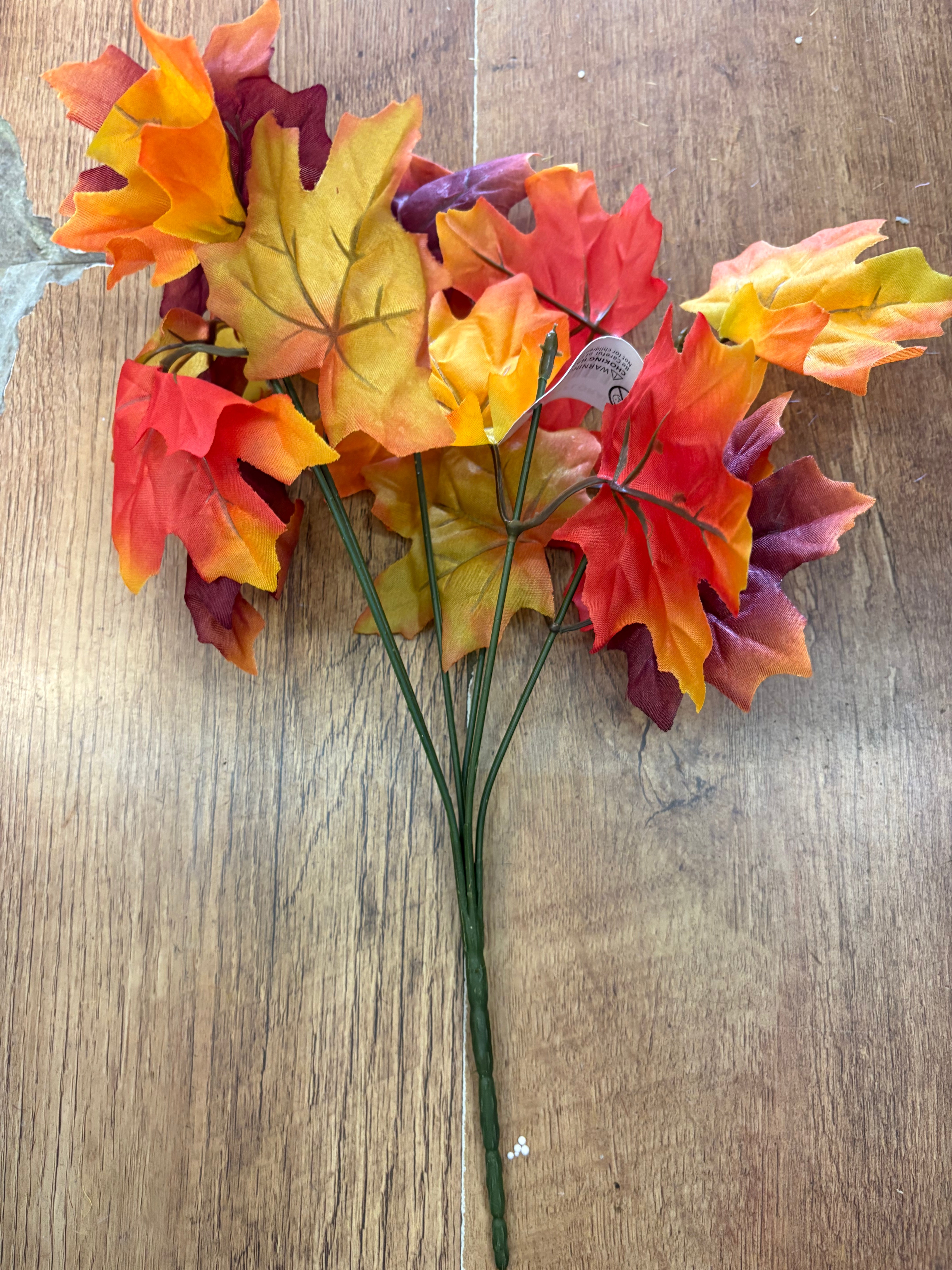 Autumnal maple leaf bunch