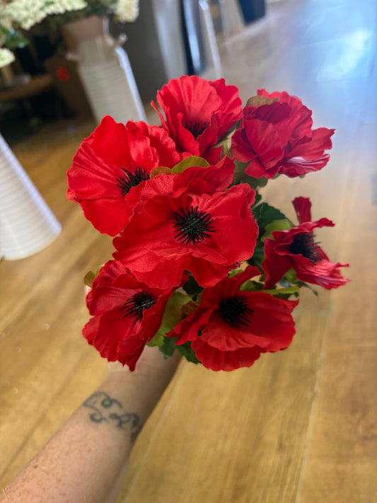 Red anemone bunch
