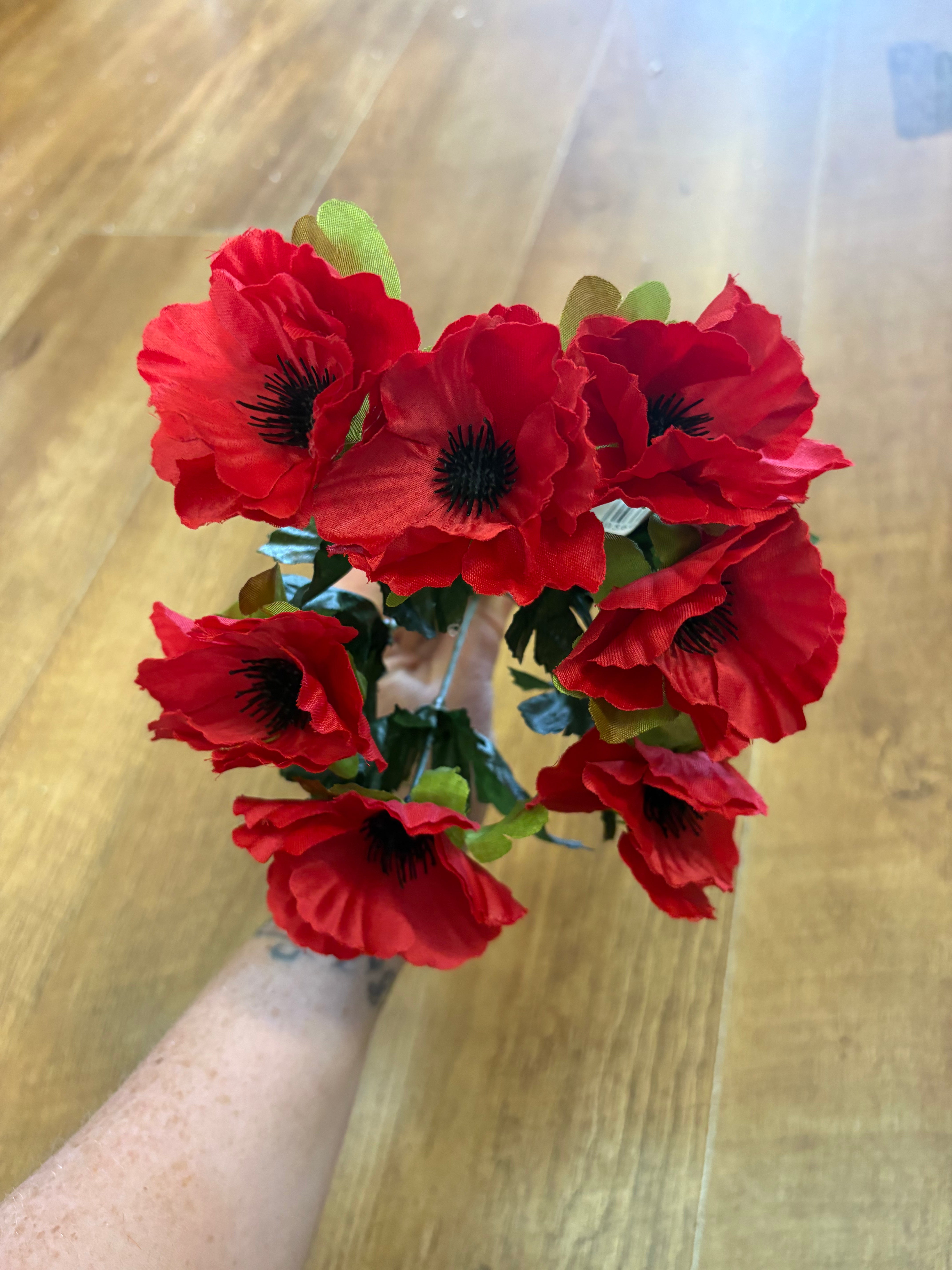 Red anemone bunch