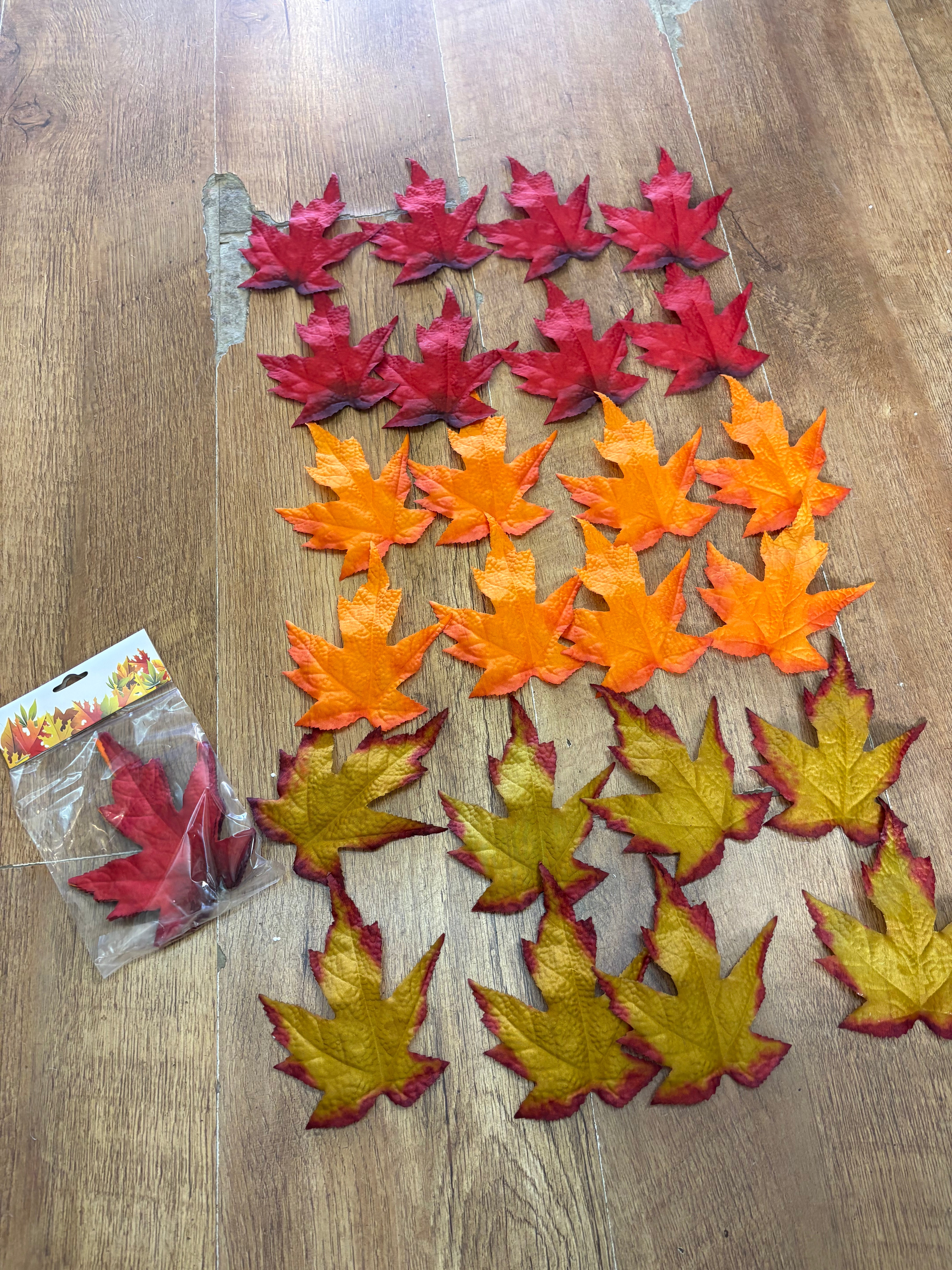 Pack of 24 loose autumnal maple leaves