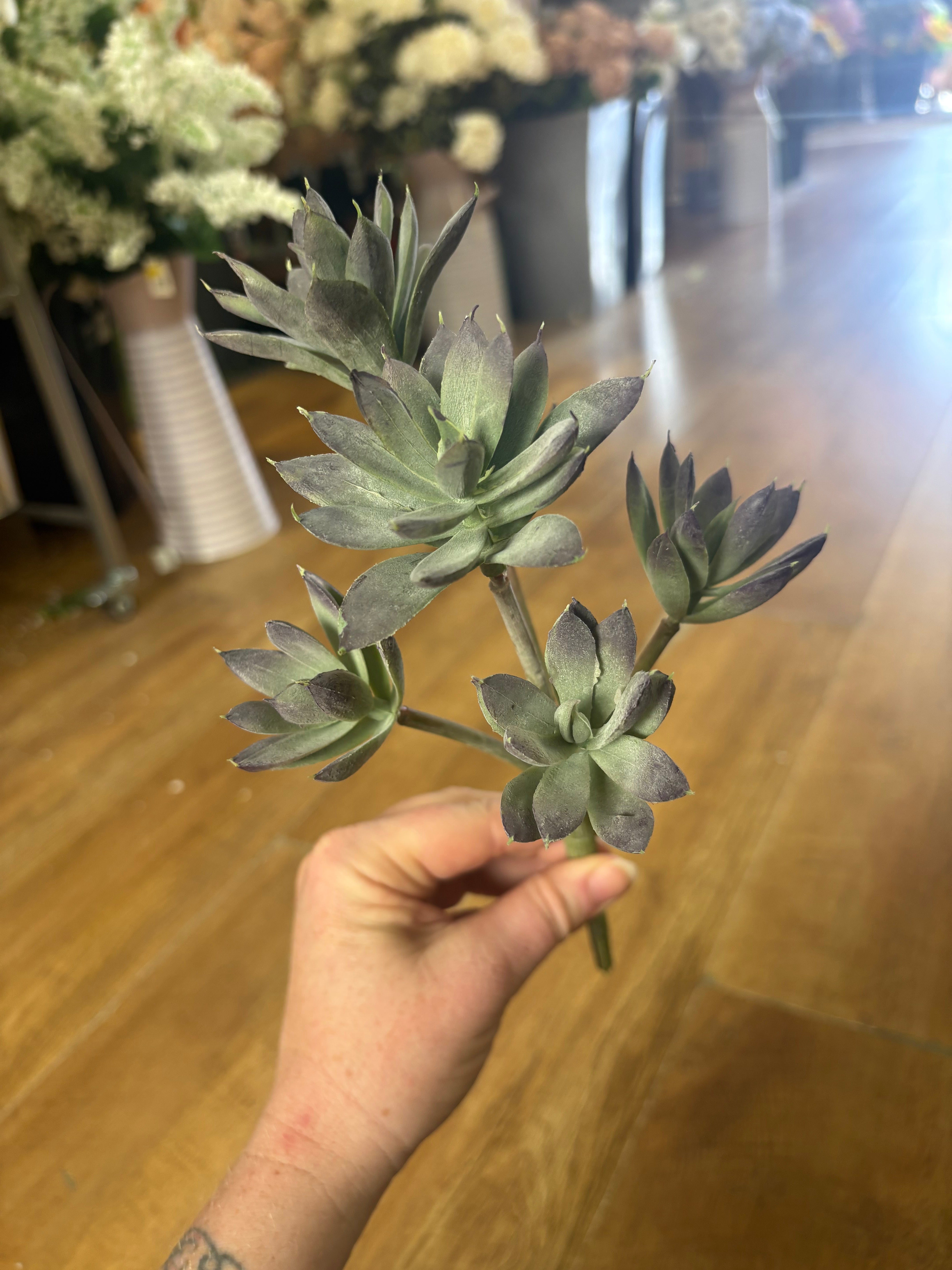 6 headed succulent bunch