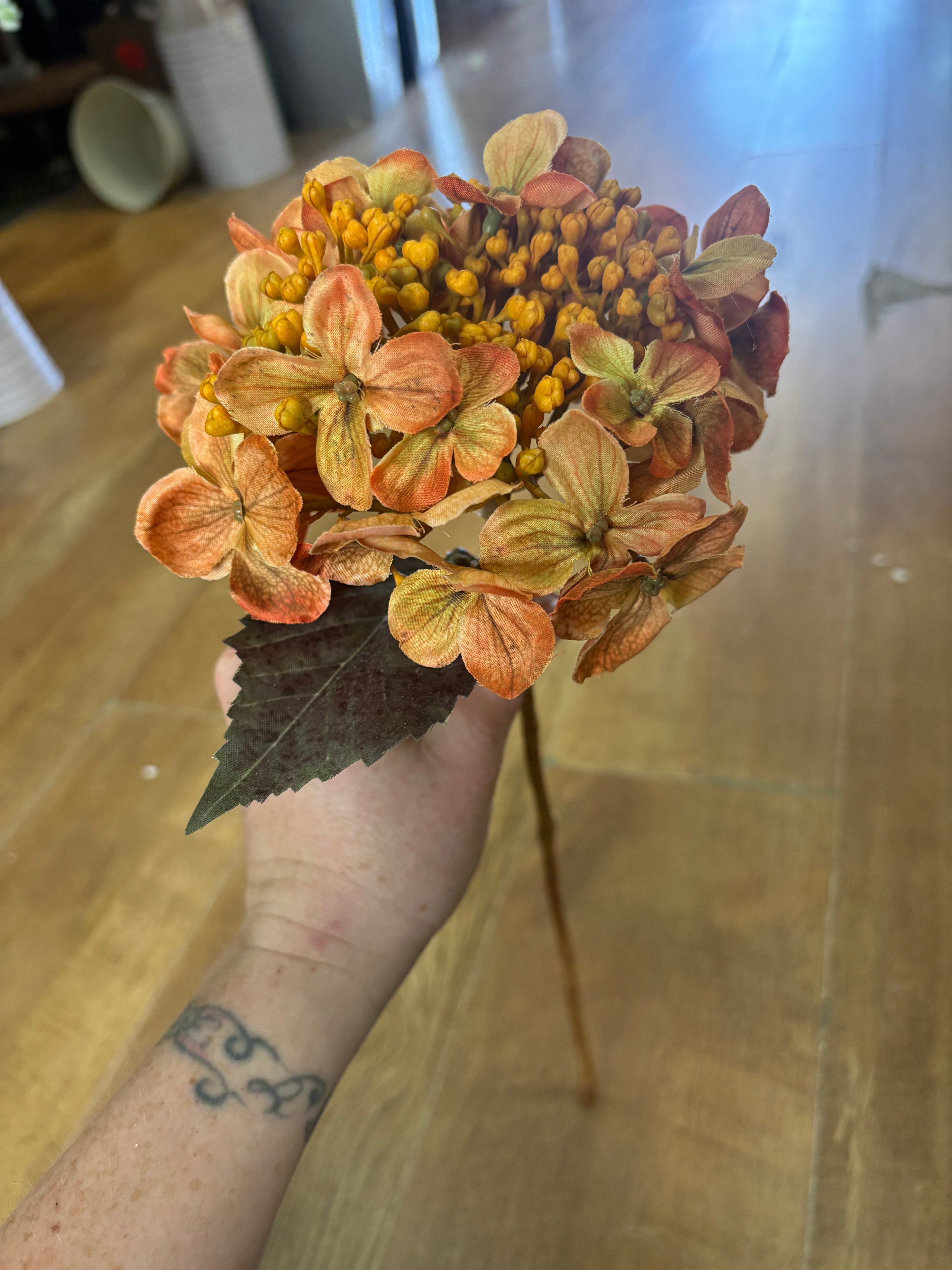 Medium length autumnal orange an yellow budding hydrangea stem