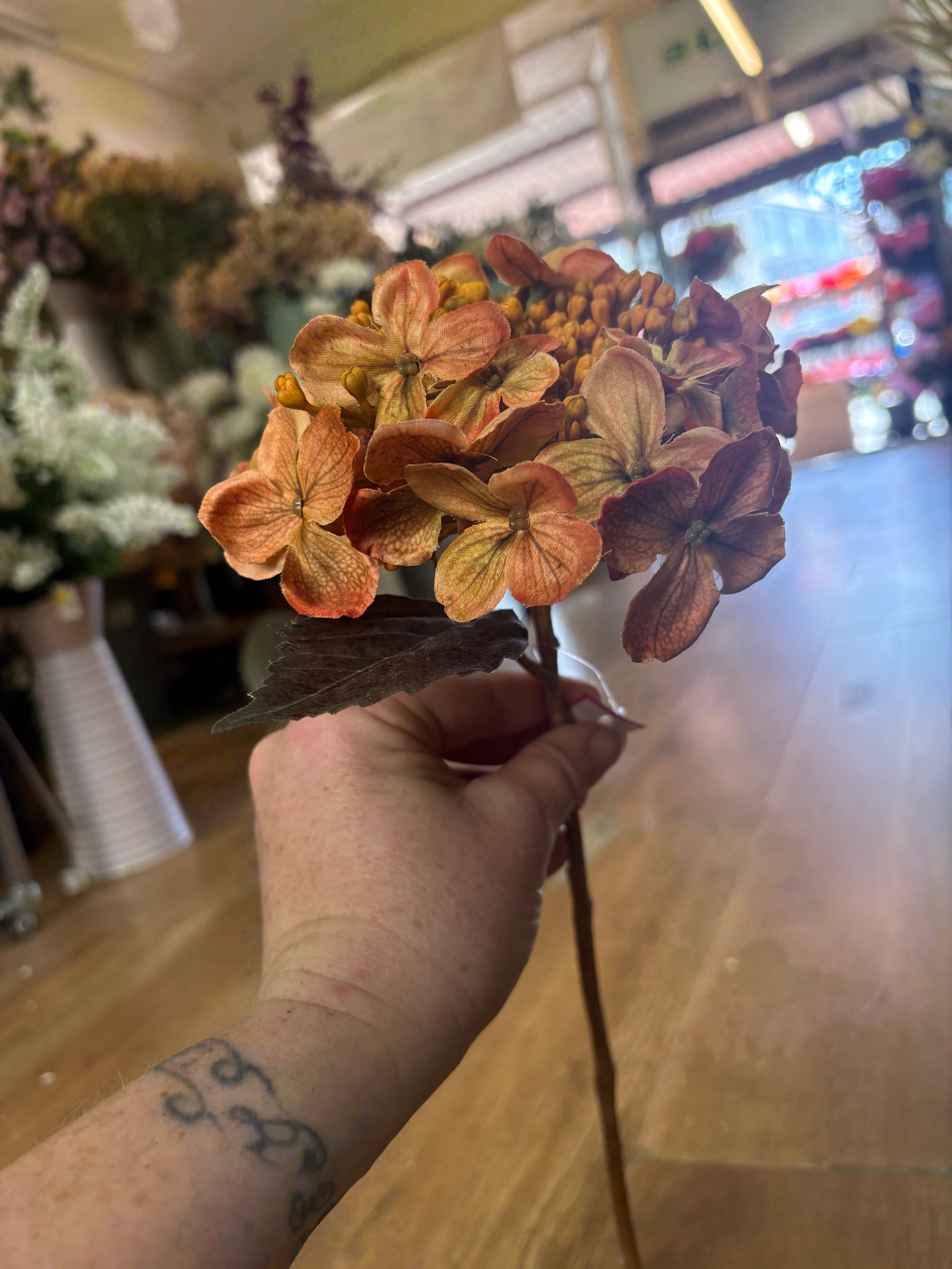 Medium length autumnal orange an yellow budding hydrangea stem