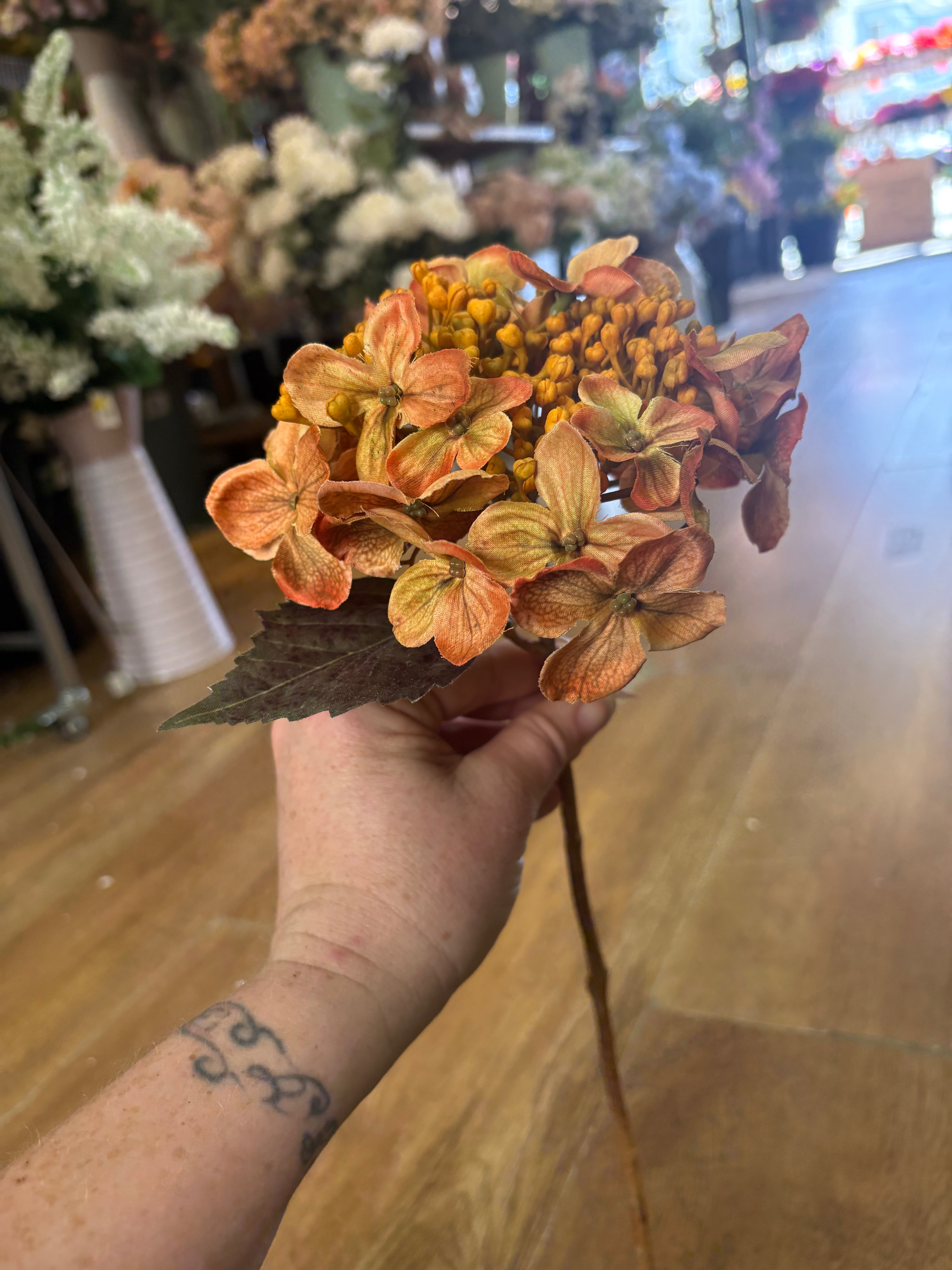 Medium length autumnal orange an yellow budding hydrangea stem