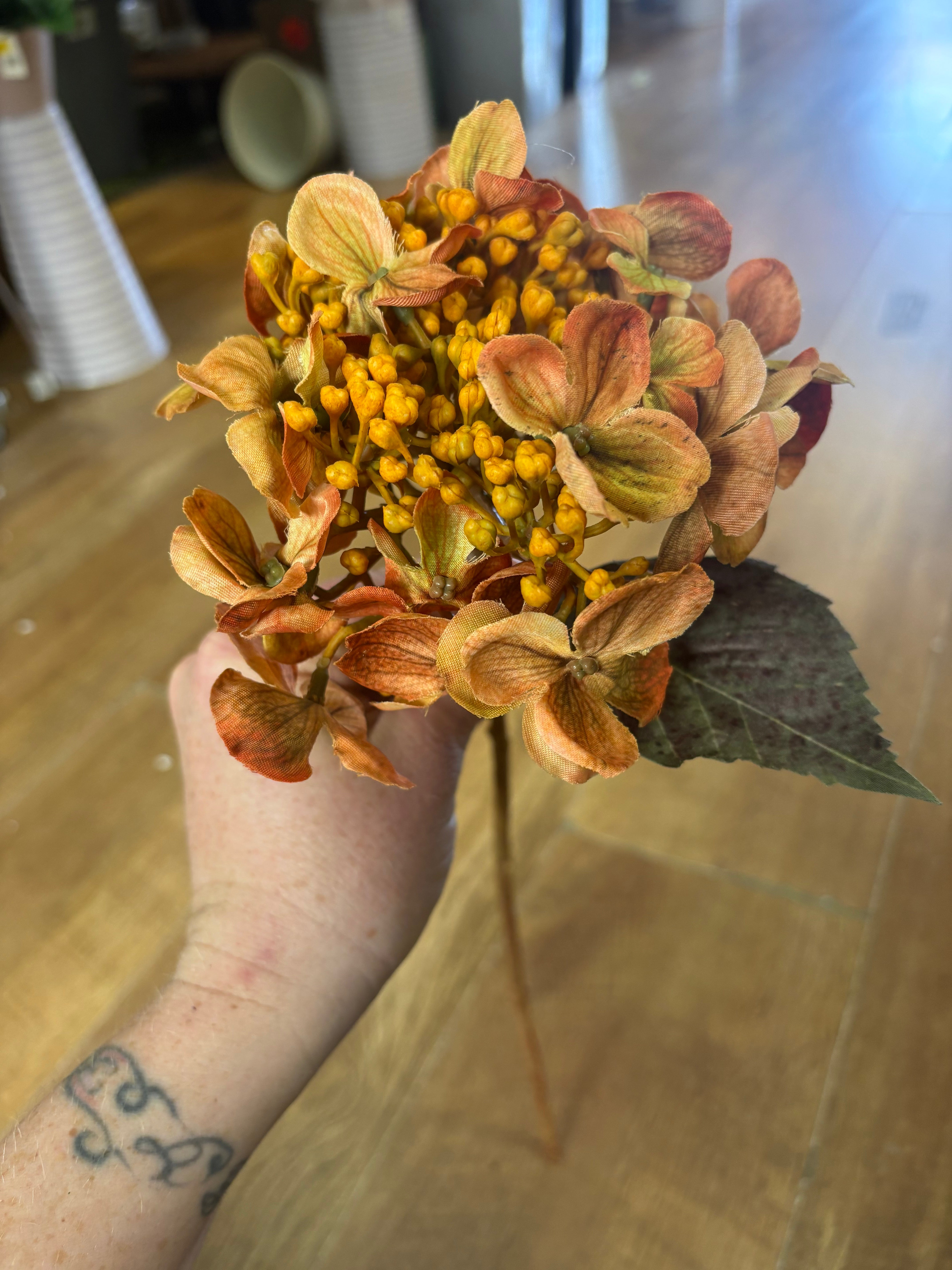 Medium length autumnal orange an yellow budding hydrangea stem