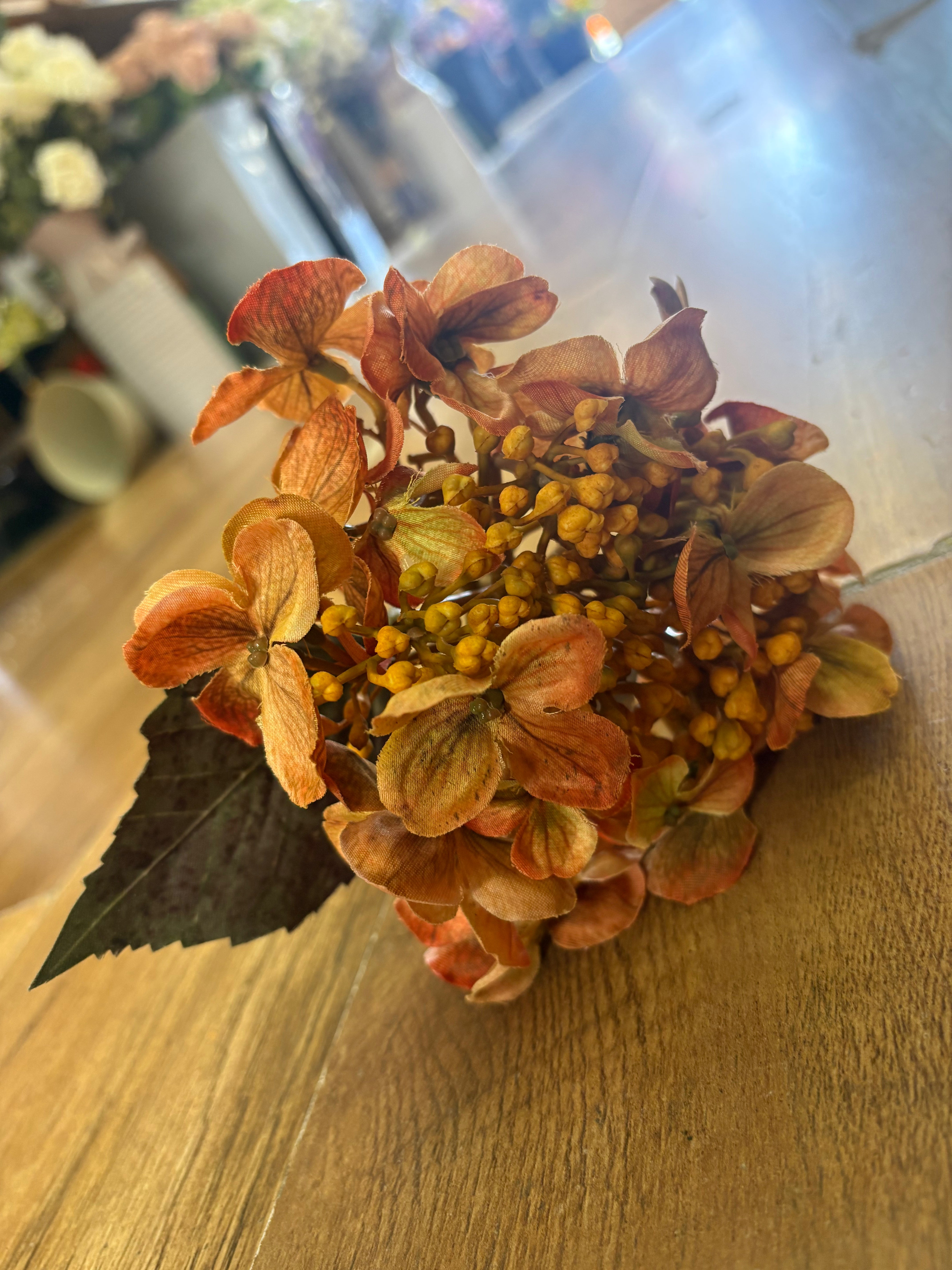 Medium length autumnal orange an yellow budding hydrangea stem