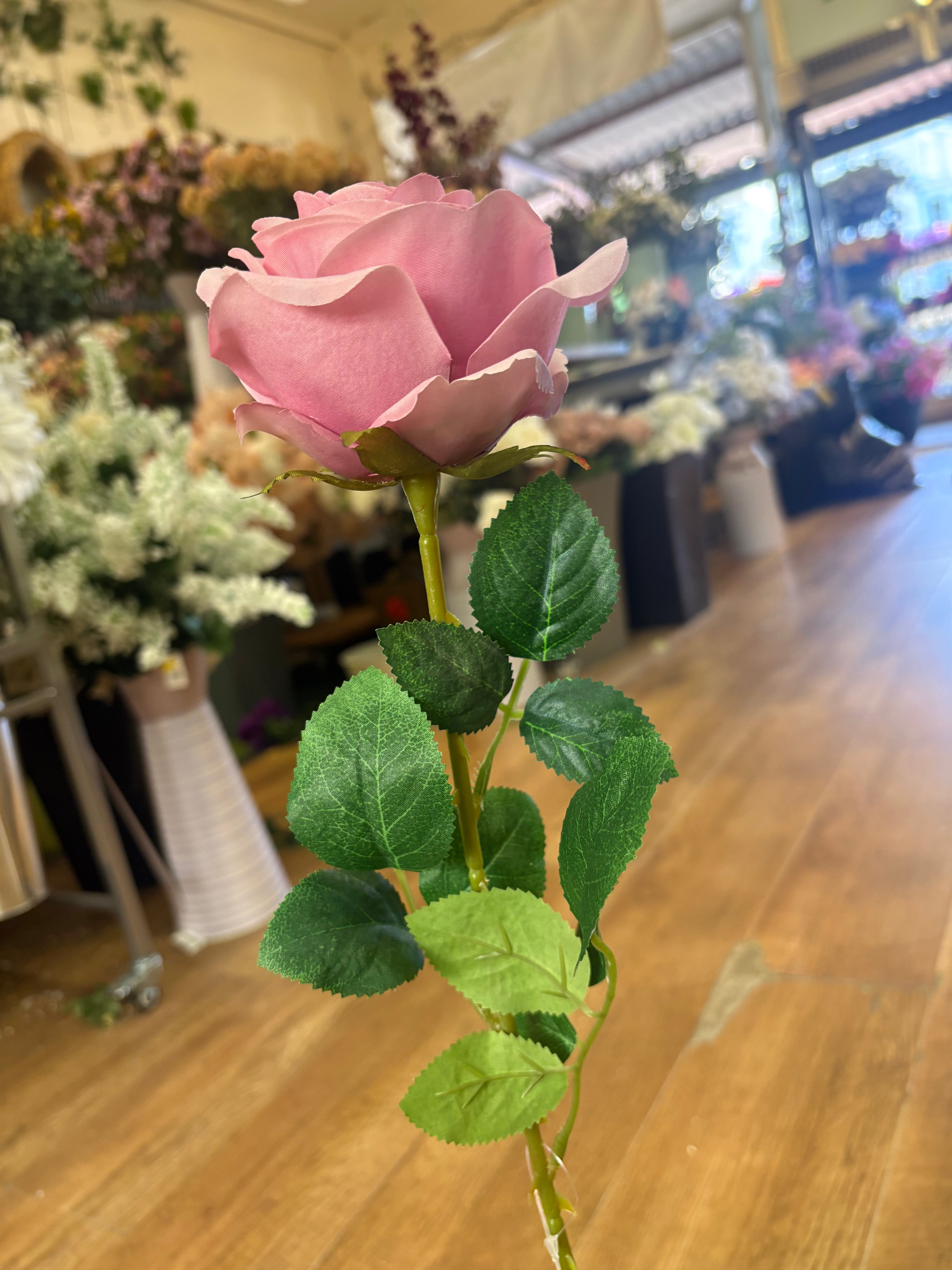 Blush pink single harper rose