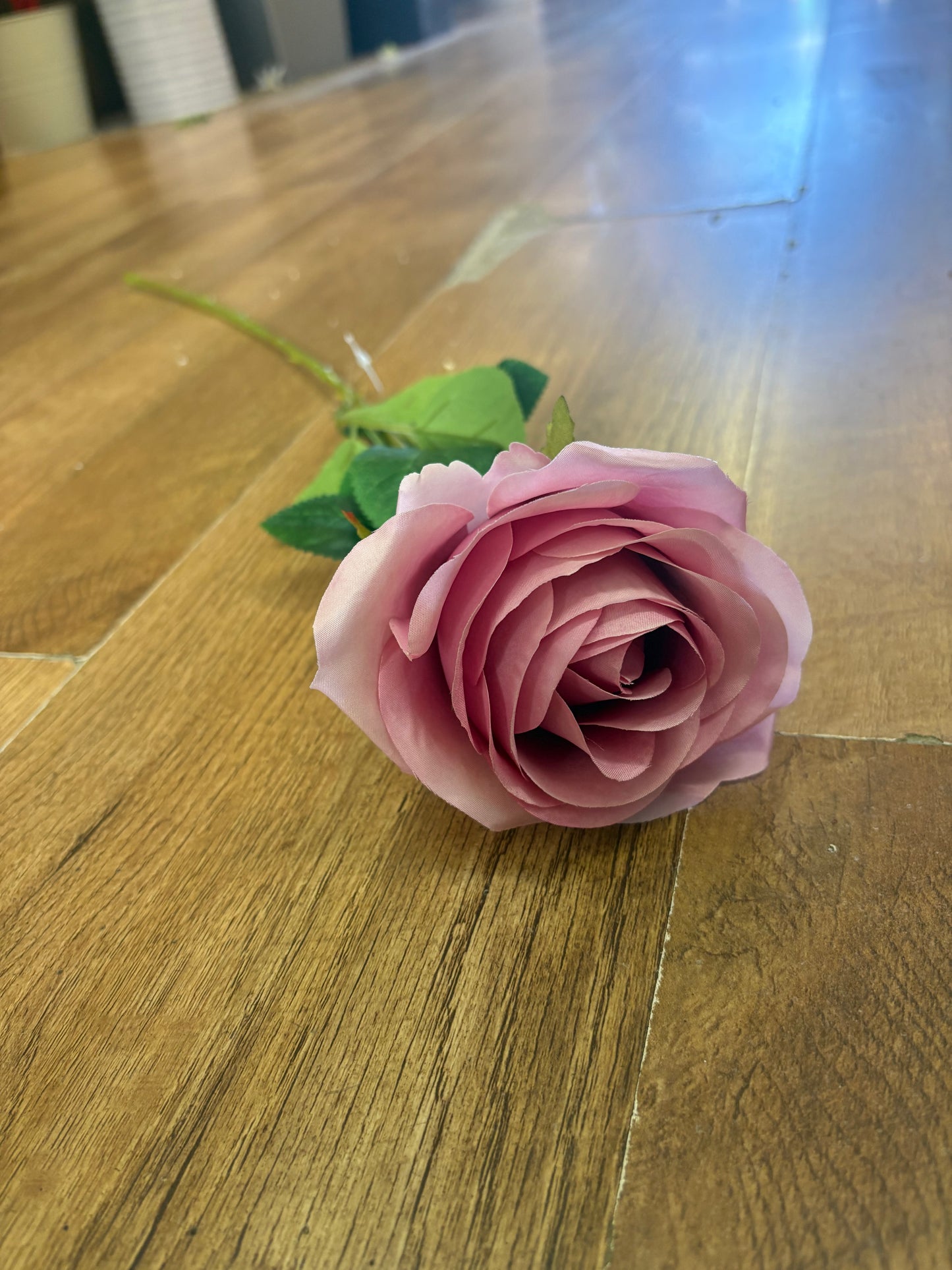Blush pink single harper rose