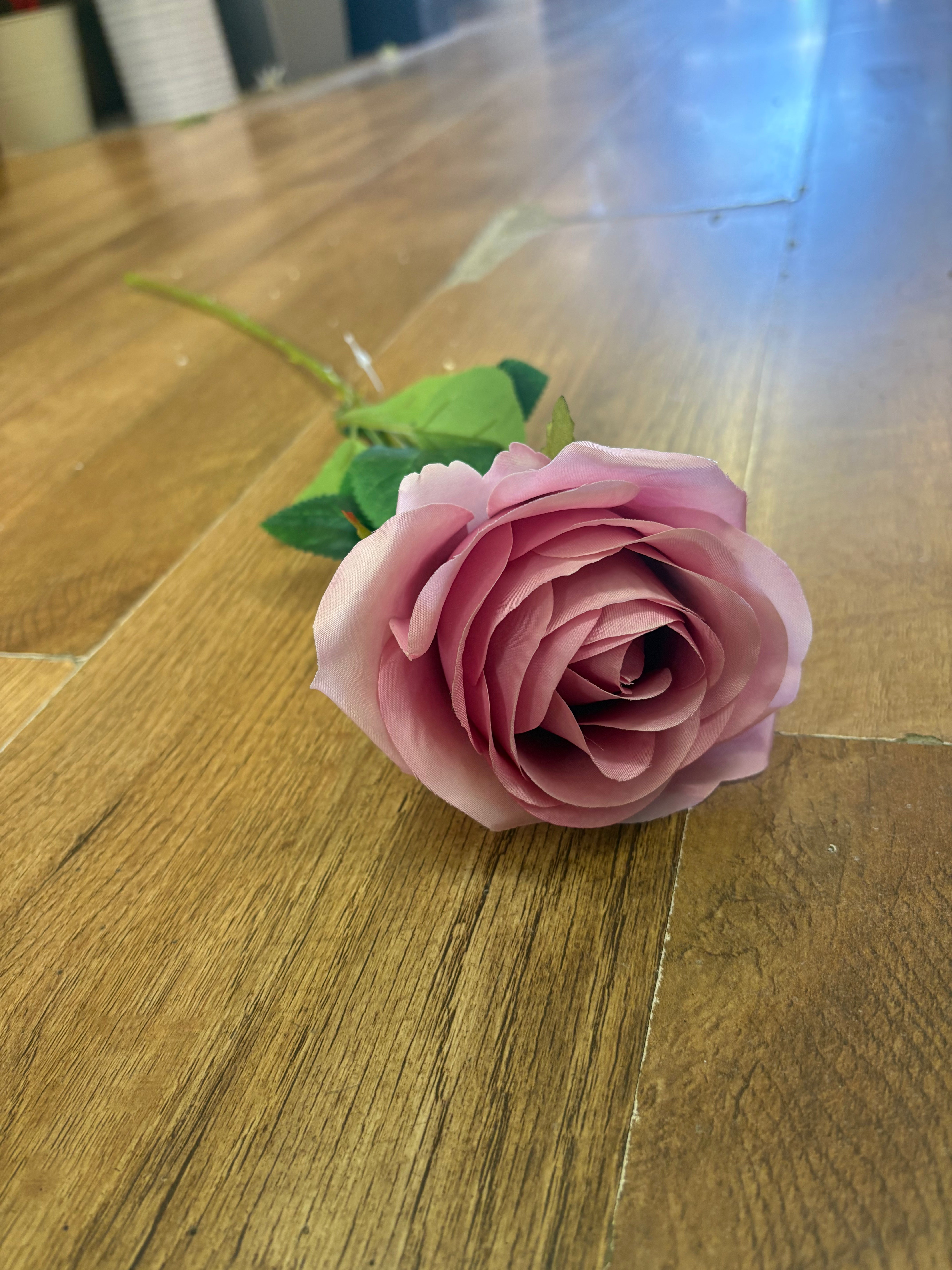 Blush pink single harper rose