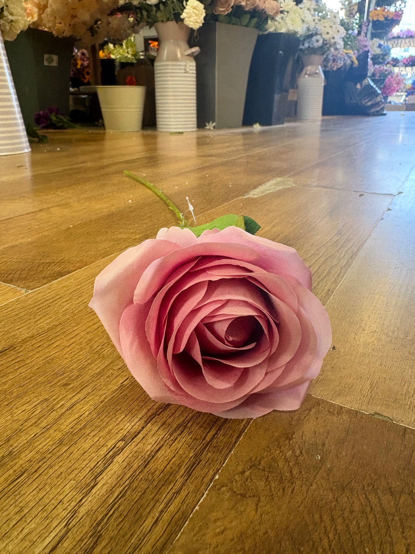 Blush pink single harper rose