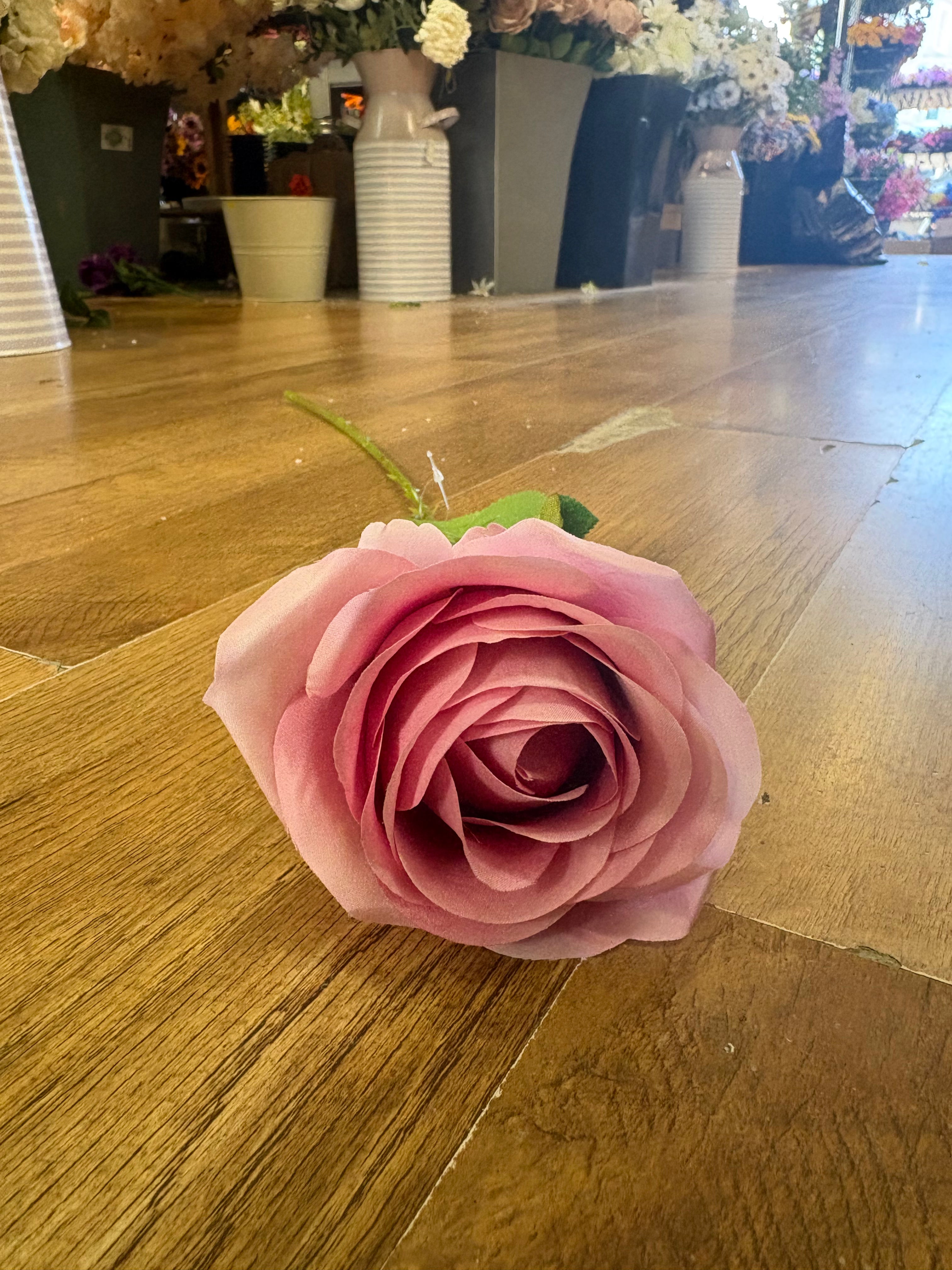 Blush pink single harper rose